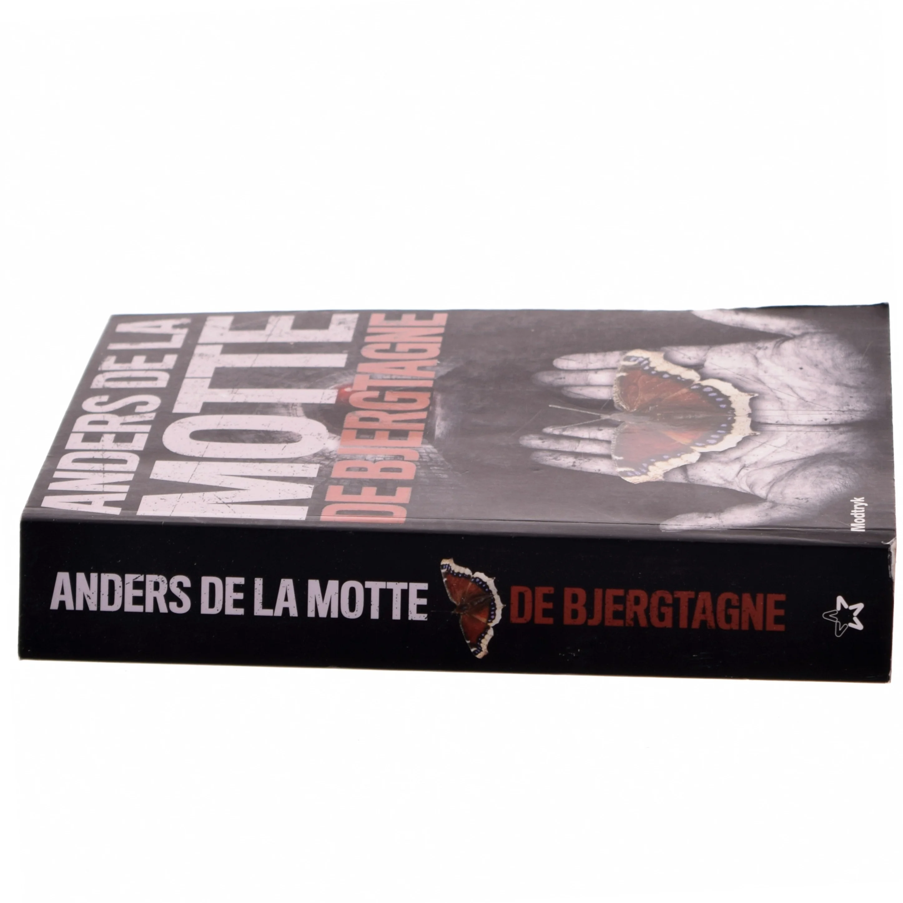 De bjergtagne af Anders De la Motte (Bog)