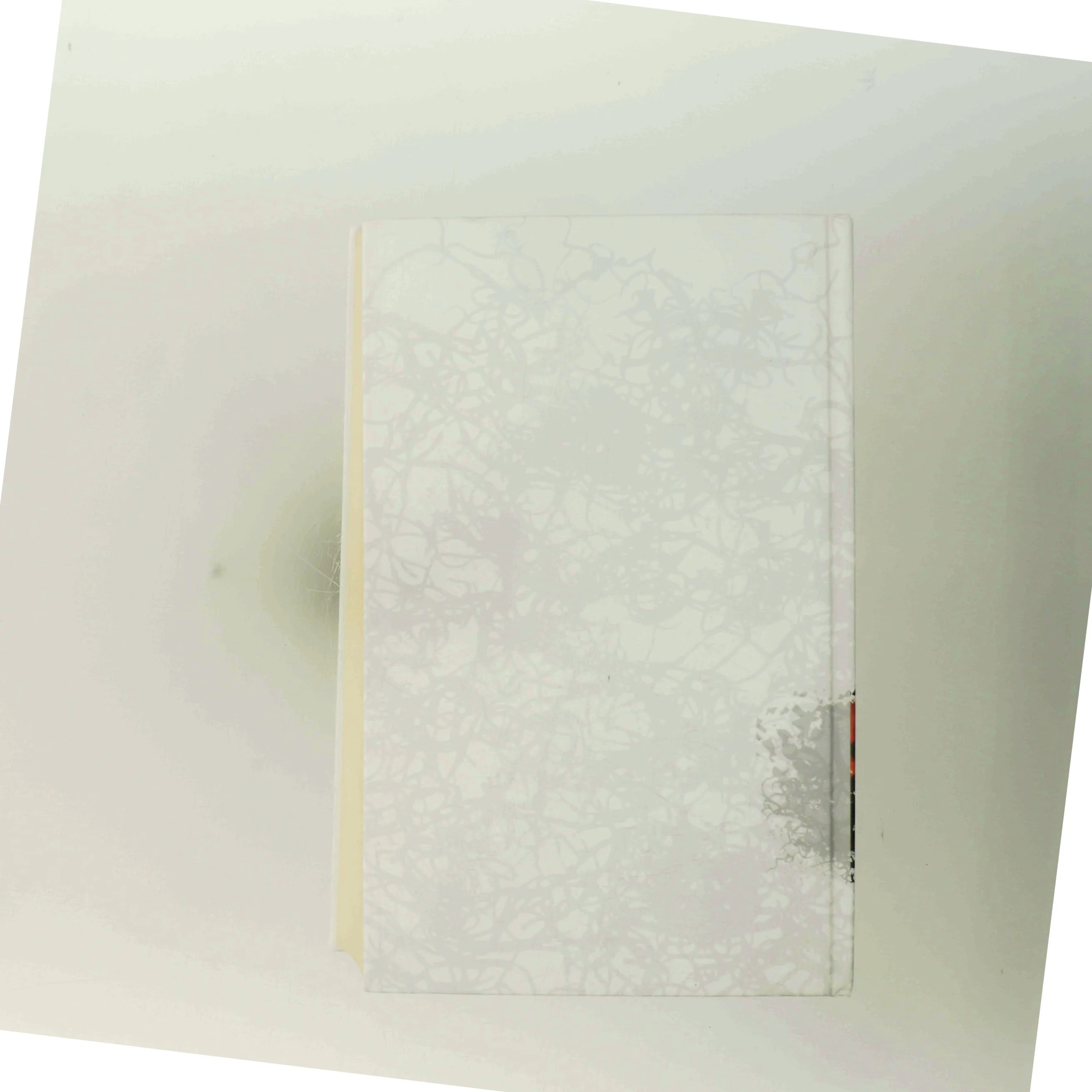 Hypnotisøren af Lars Kepler (Bog)