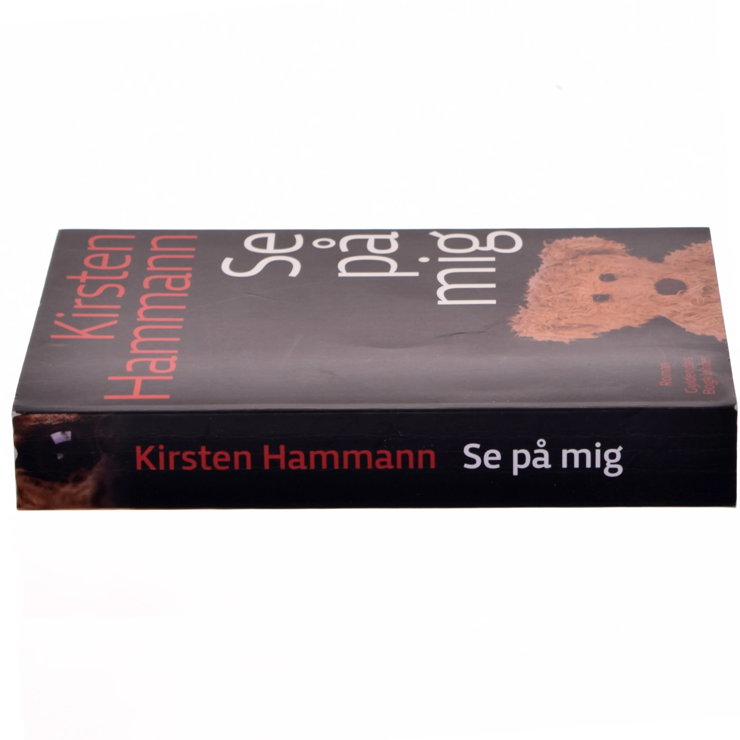 Se på mig : roman af Kirsten Hammann (Bog)