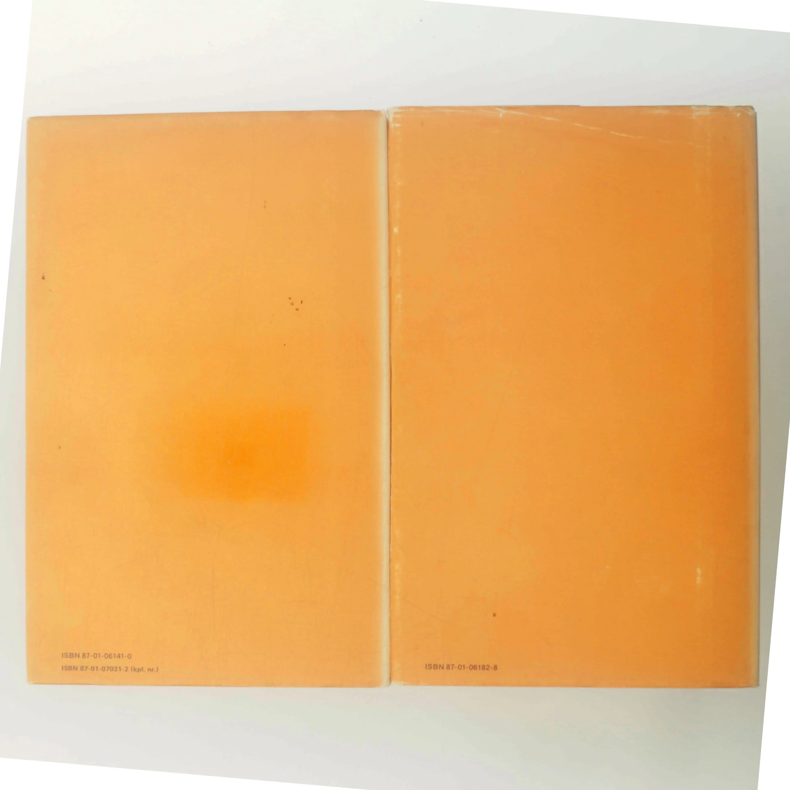 Festen for Cæcilie af Ebbe Kløvedal Reich (Bog)