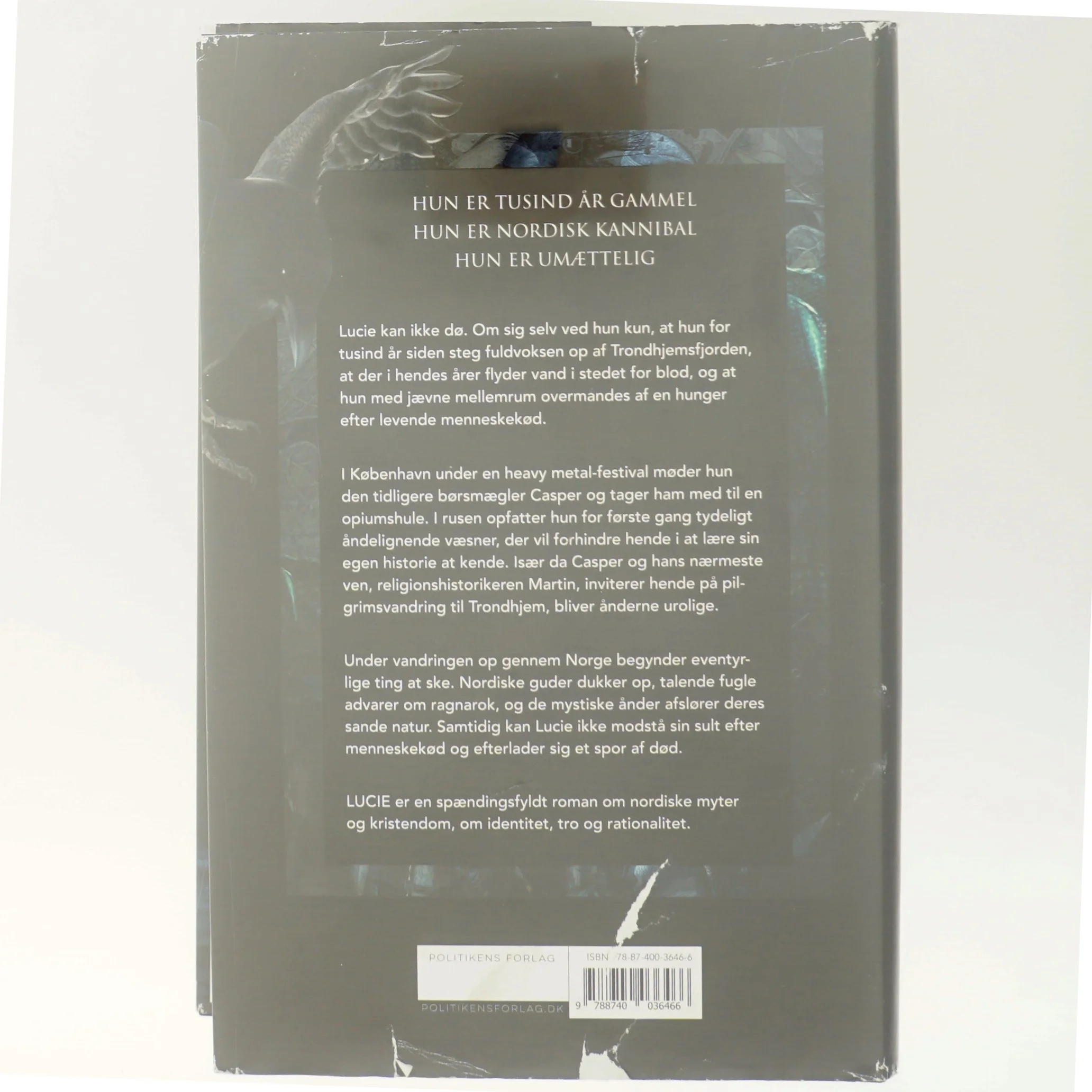 Lucie : roman af Anne-Marie Vedsø Olesen (Bog)