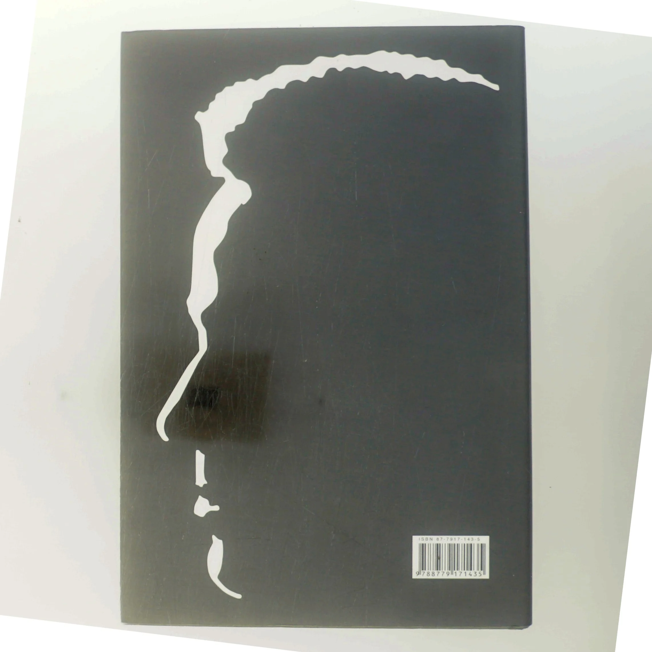 Carl Nielsen brevudgaven, bind 1 : 1886-1897 af Carl Nielsen (Bog)