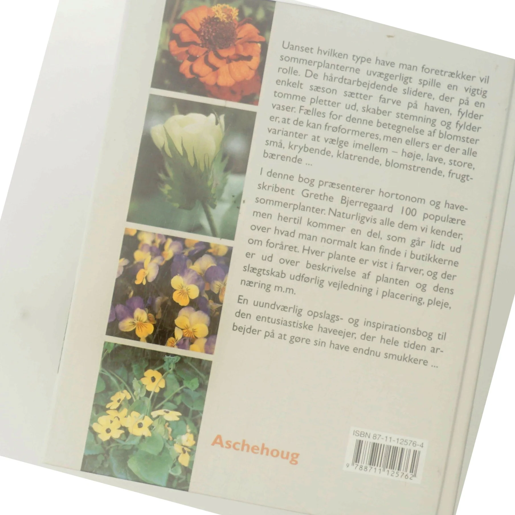 100 populære sommerplanter af Grethe Bjerregaard (f. 1945) (Bog)