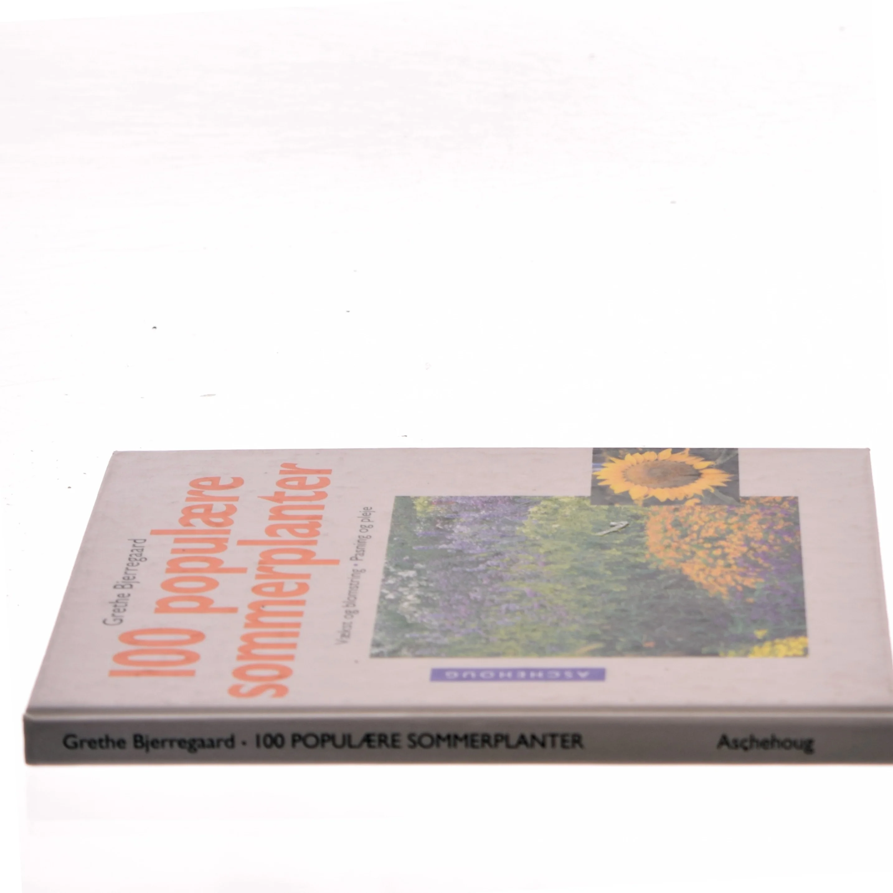 100 populære sommerplanter af Grethe Bjerregaard (f. 1945) (Bog)