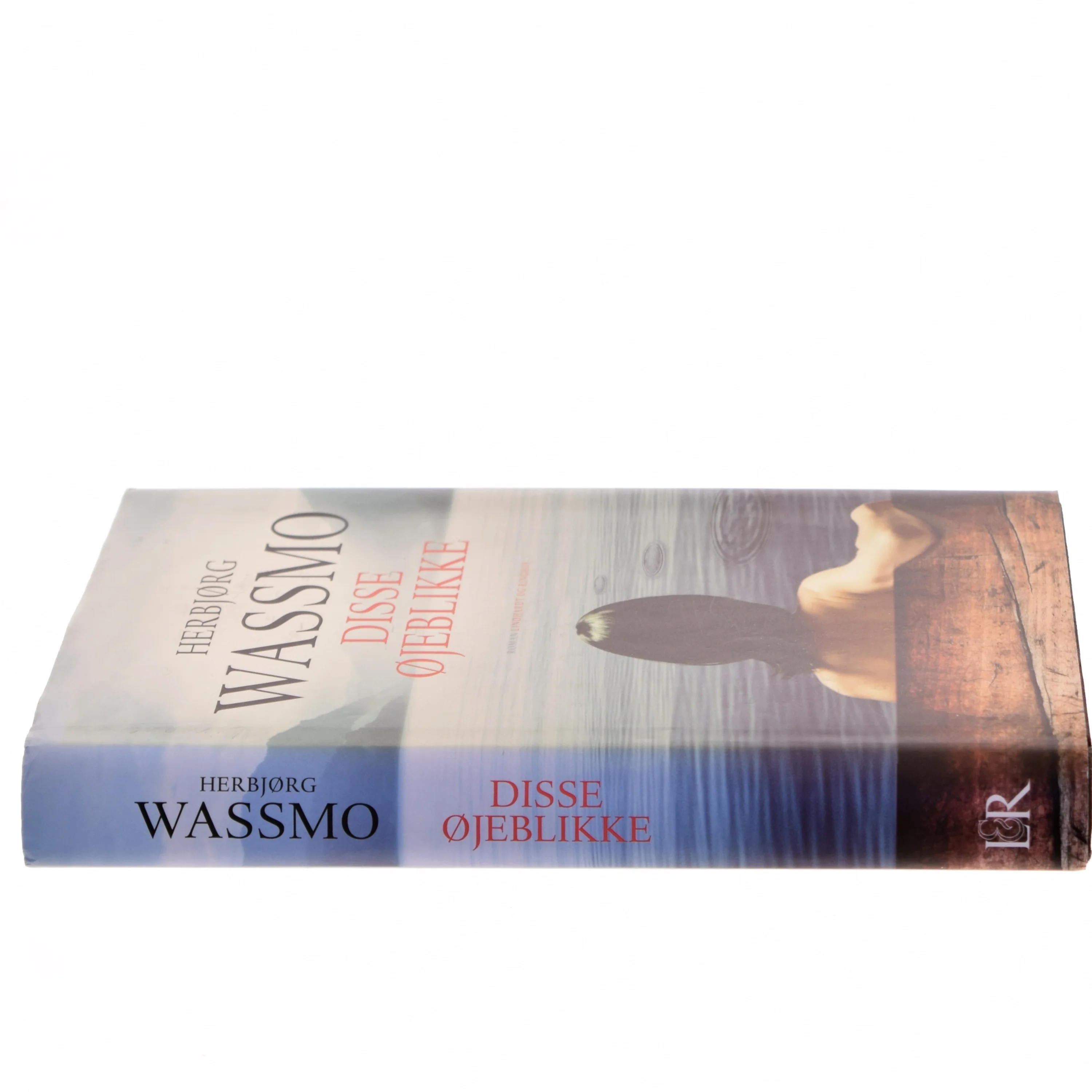 Disse øjeblikke : roman (Klassesæt) af Herbjørg Wassmo (Bog)