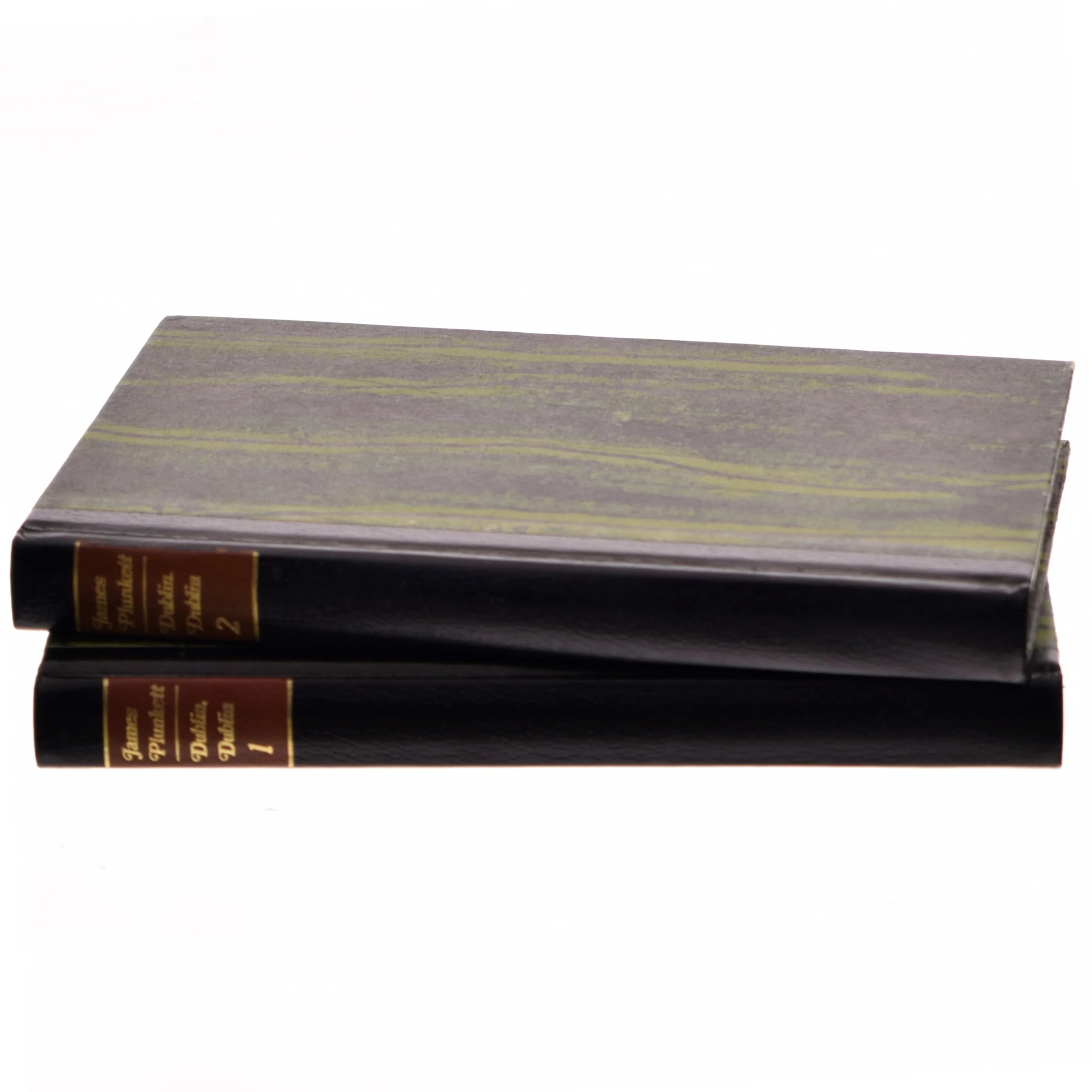 Dublin, Dublin af James Plunkett (Bog)