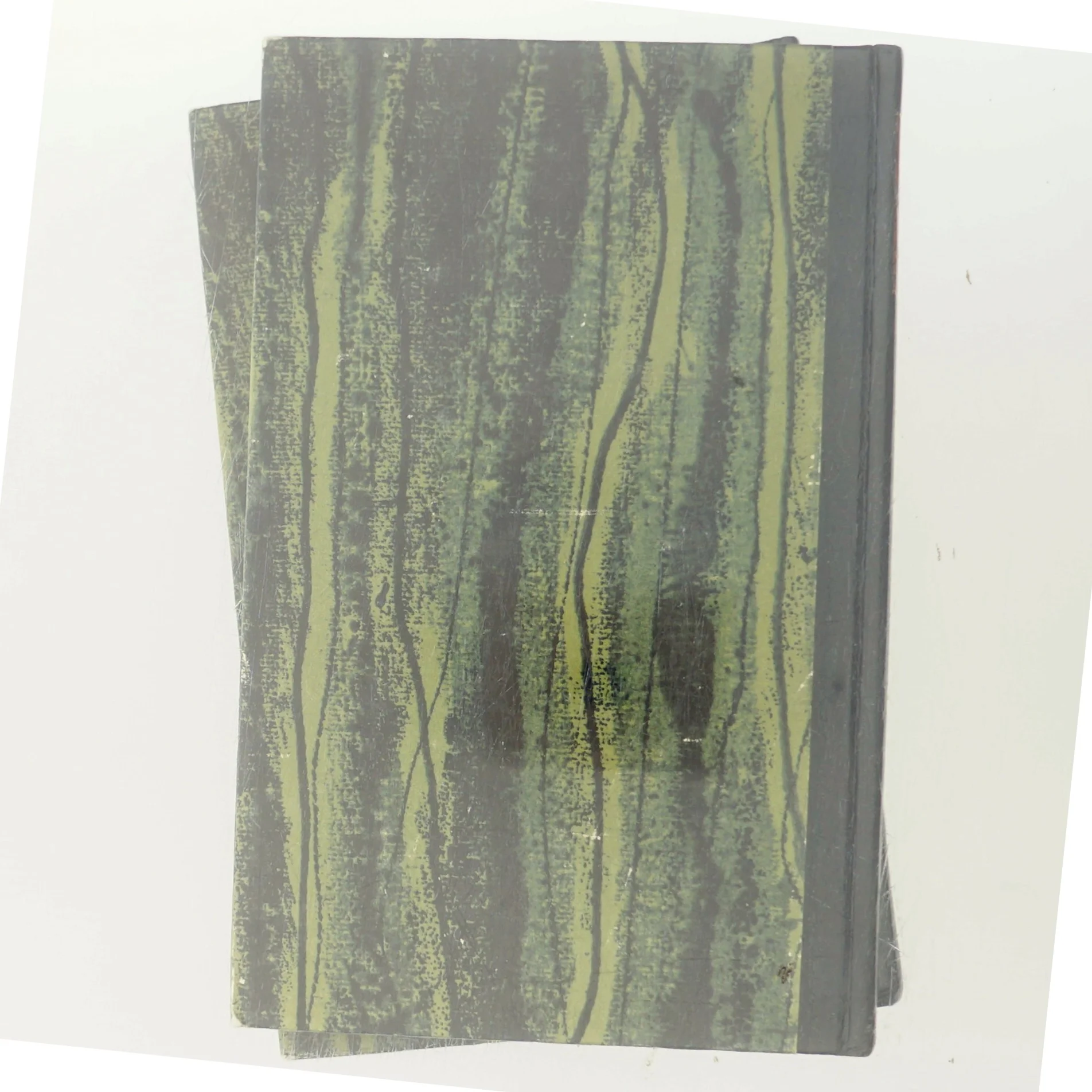 Dublin, Dublin af James Plunkett (Bog)