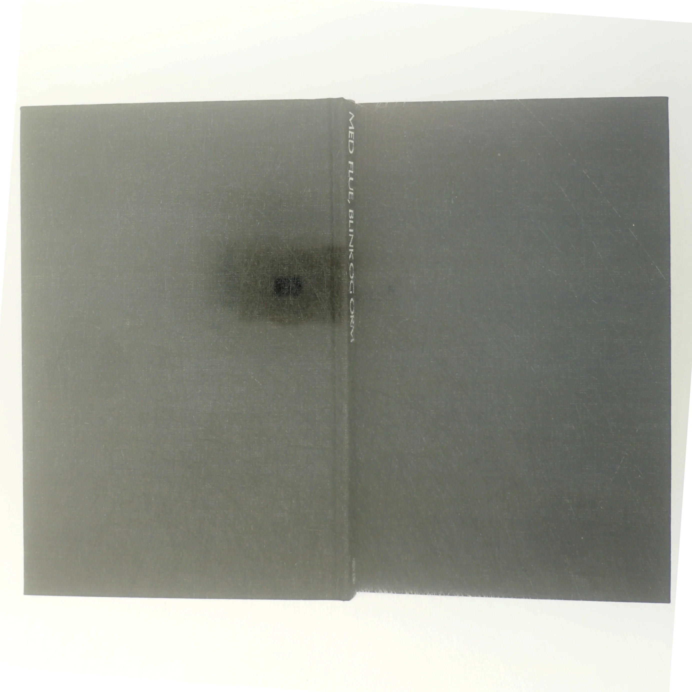 Med flue, blink og orm af Ekkehard Wiederholz (bog)