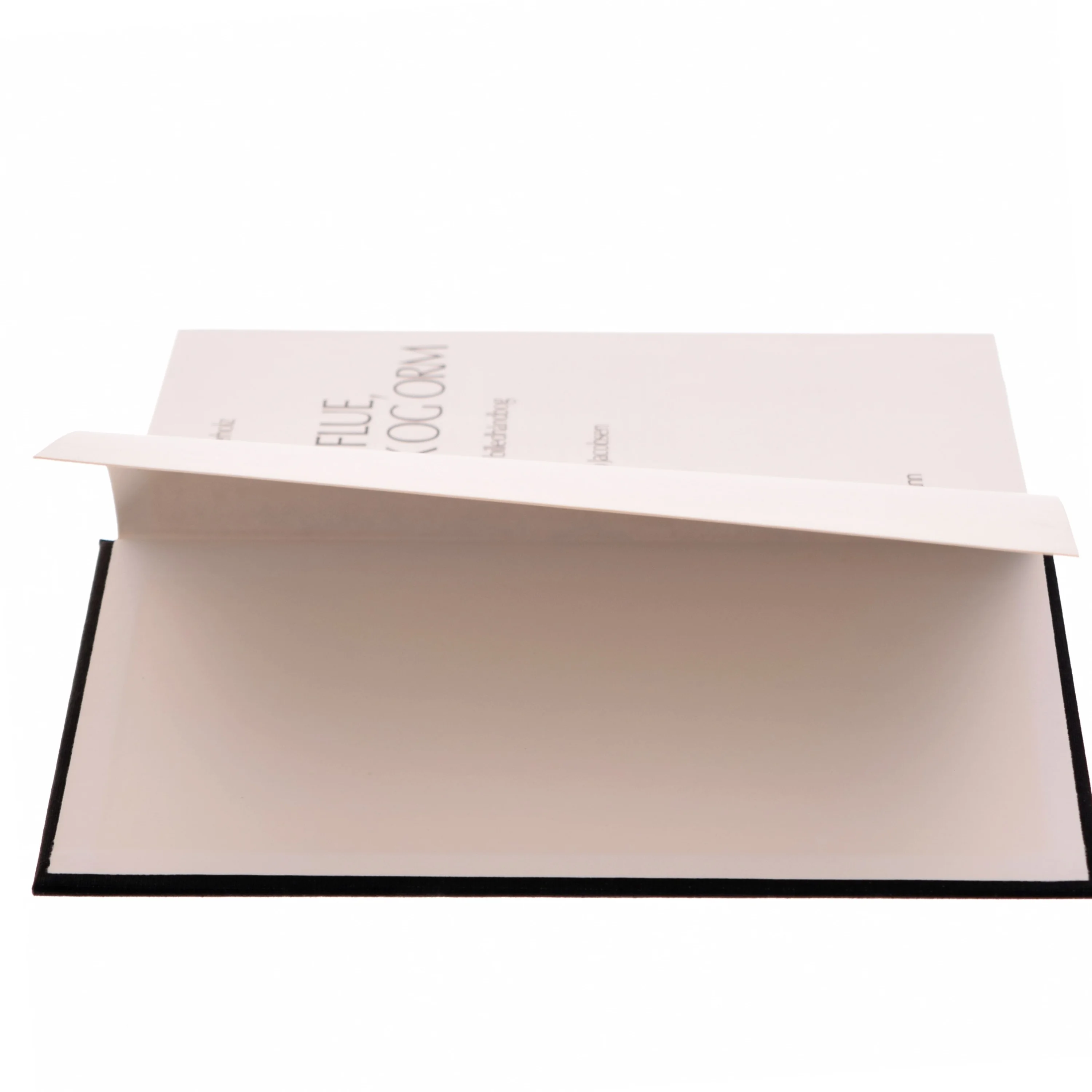 Med flue, blink og orm af Ekkehard Wiederholz (bog)