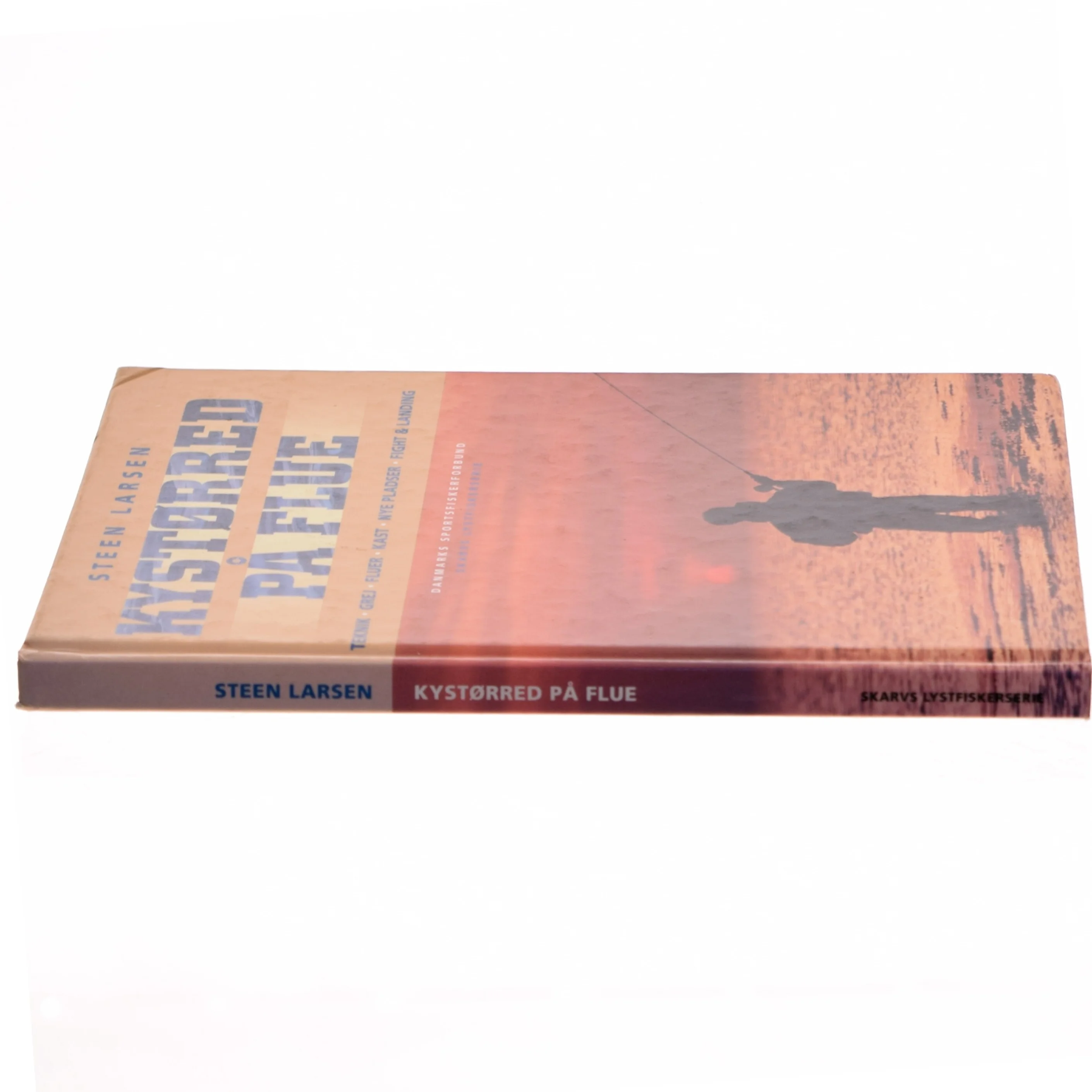 Kystørred på flue af Steen Larsen (f. 1958) (Bog)