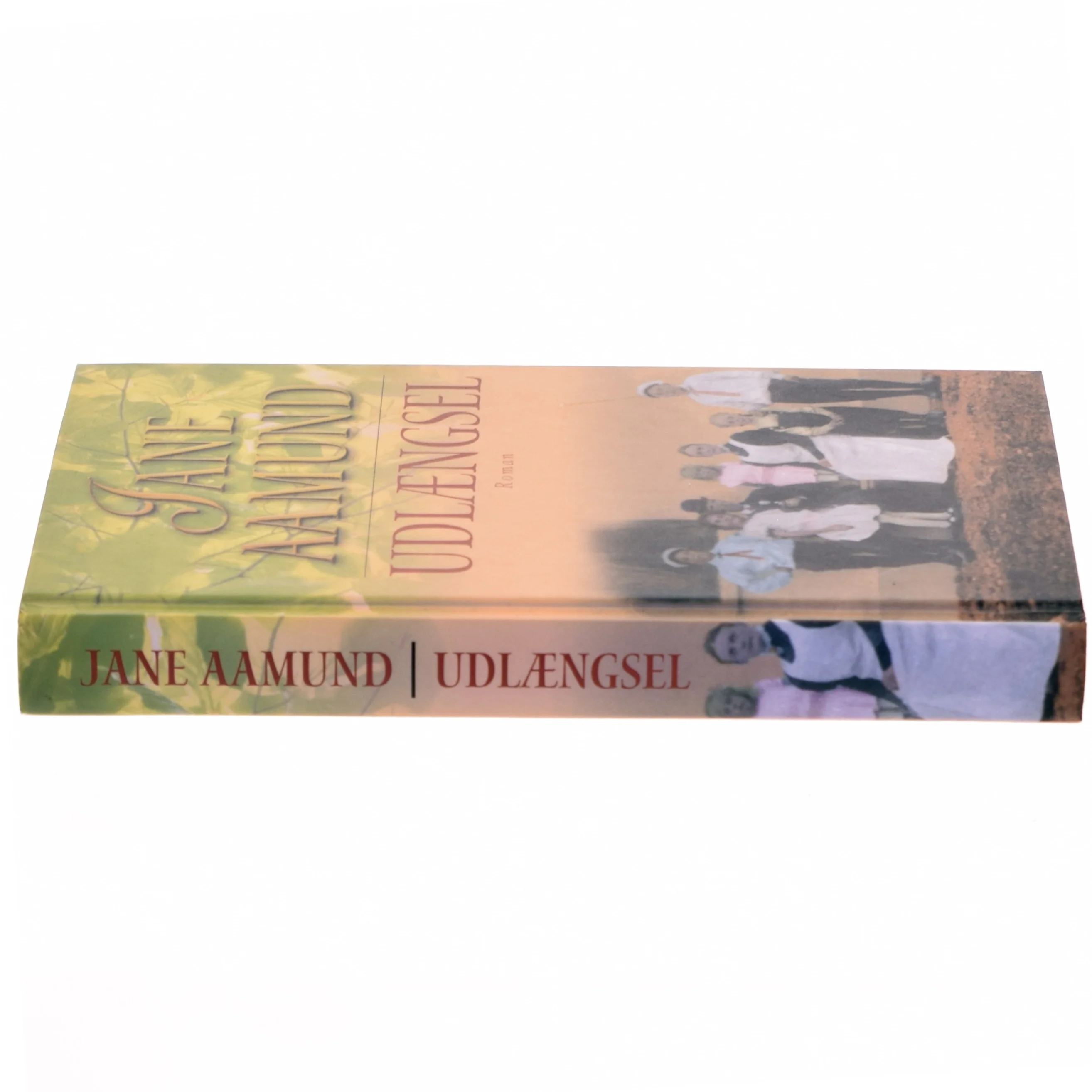Udlængsel af Jane Aamund (Bog)