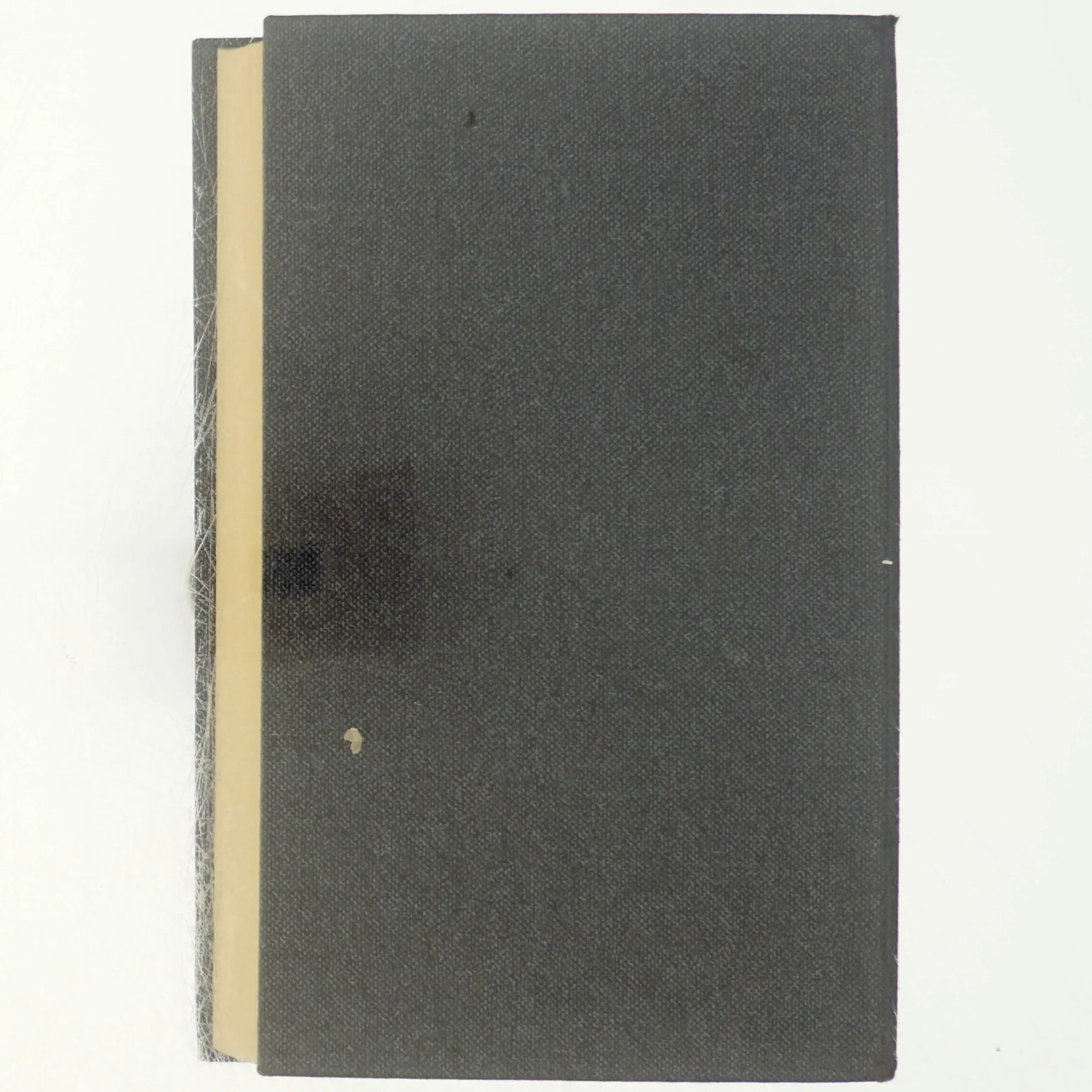 Roman om en forbrydelse, 9.bind, politimorderen