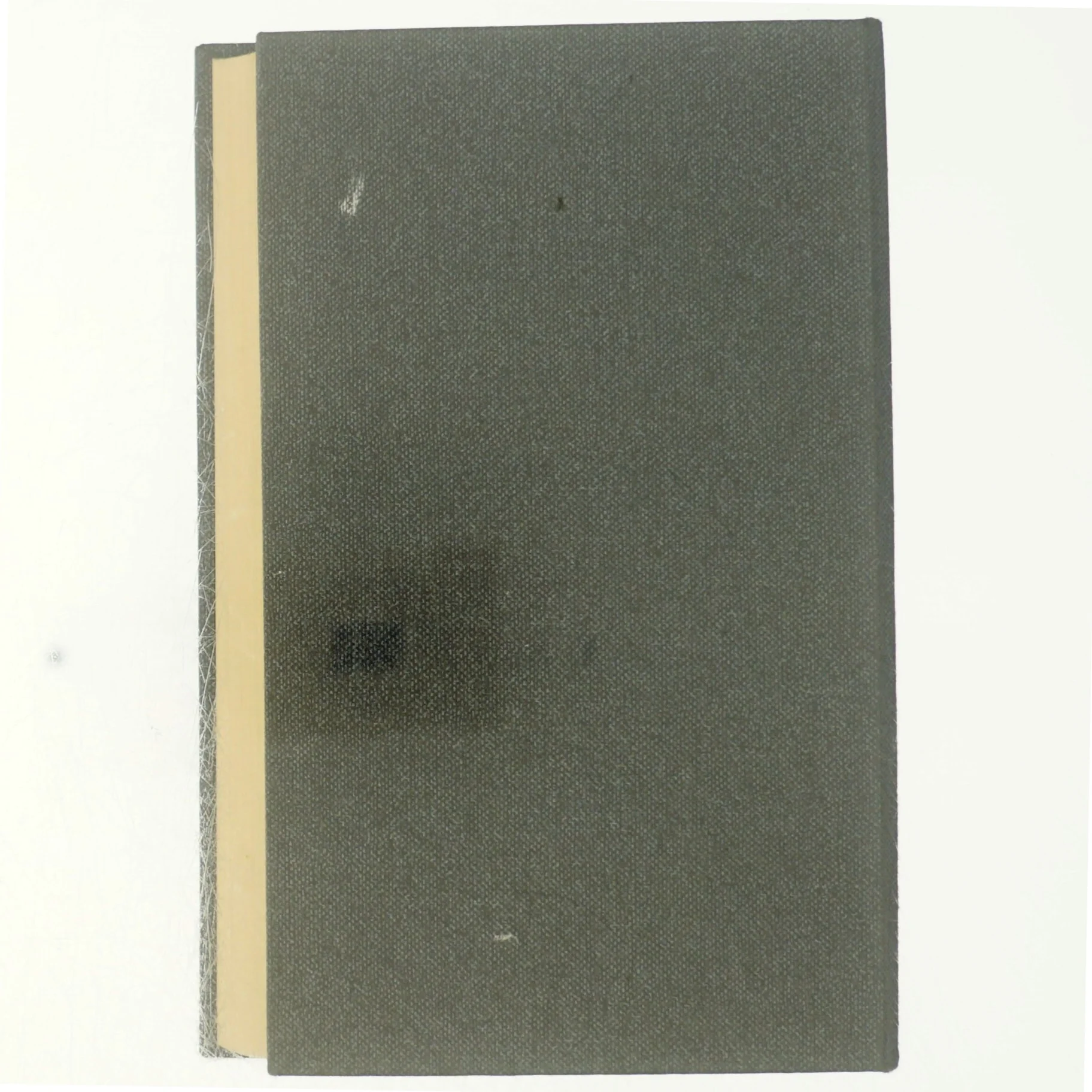 Roman om en forbrydelse, 4.bind, endestation mord