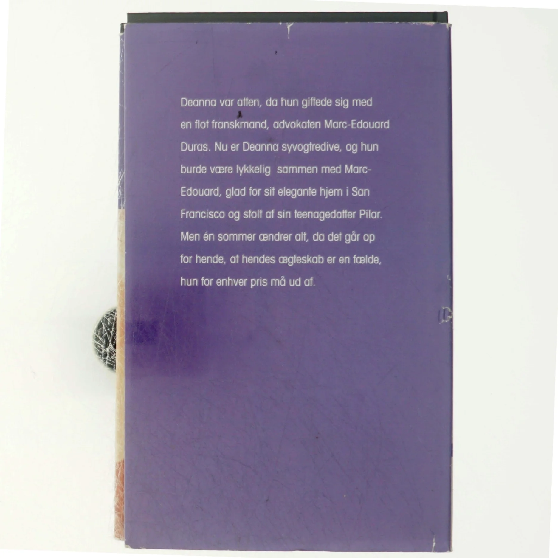 Kun for en sommer af Danielle Steel