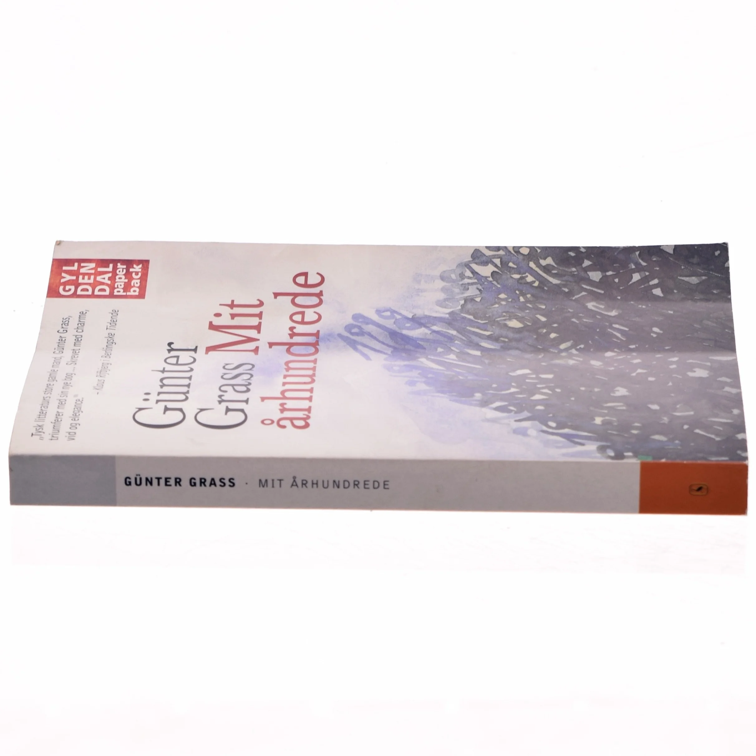 Mit århundrede af Günter Grass (Bog)