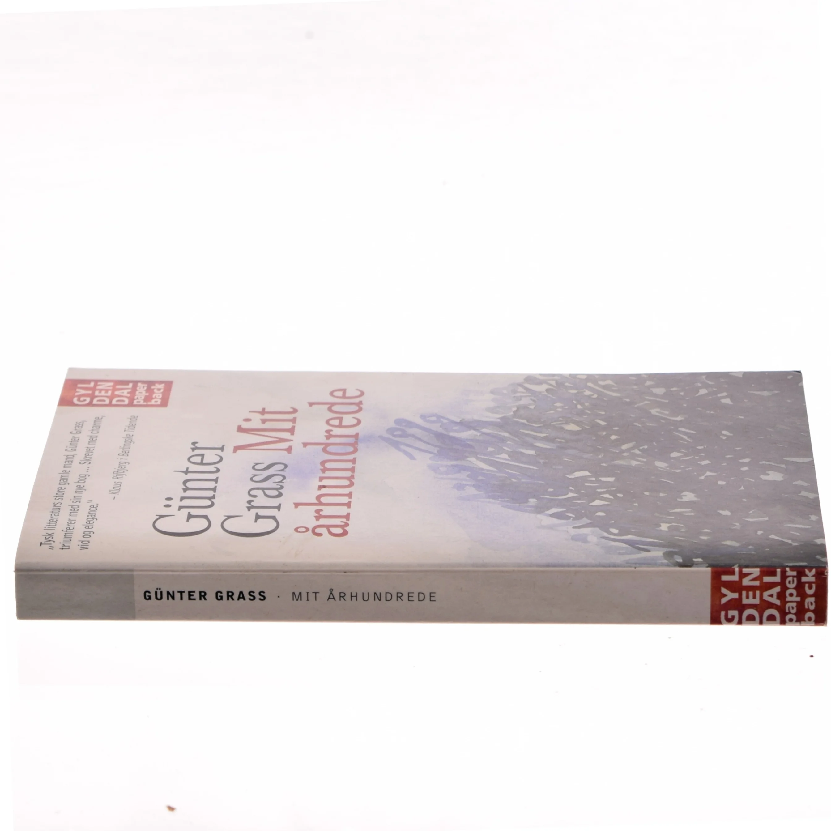 Mit århundrede af Günter Grass (Bog)