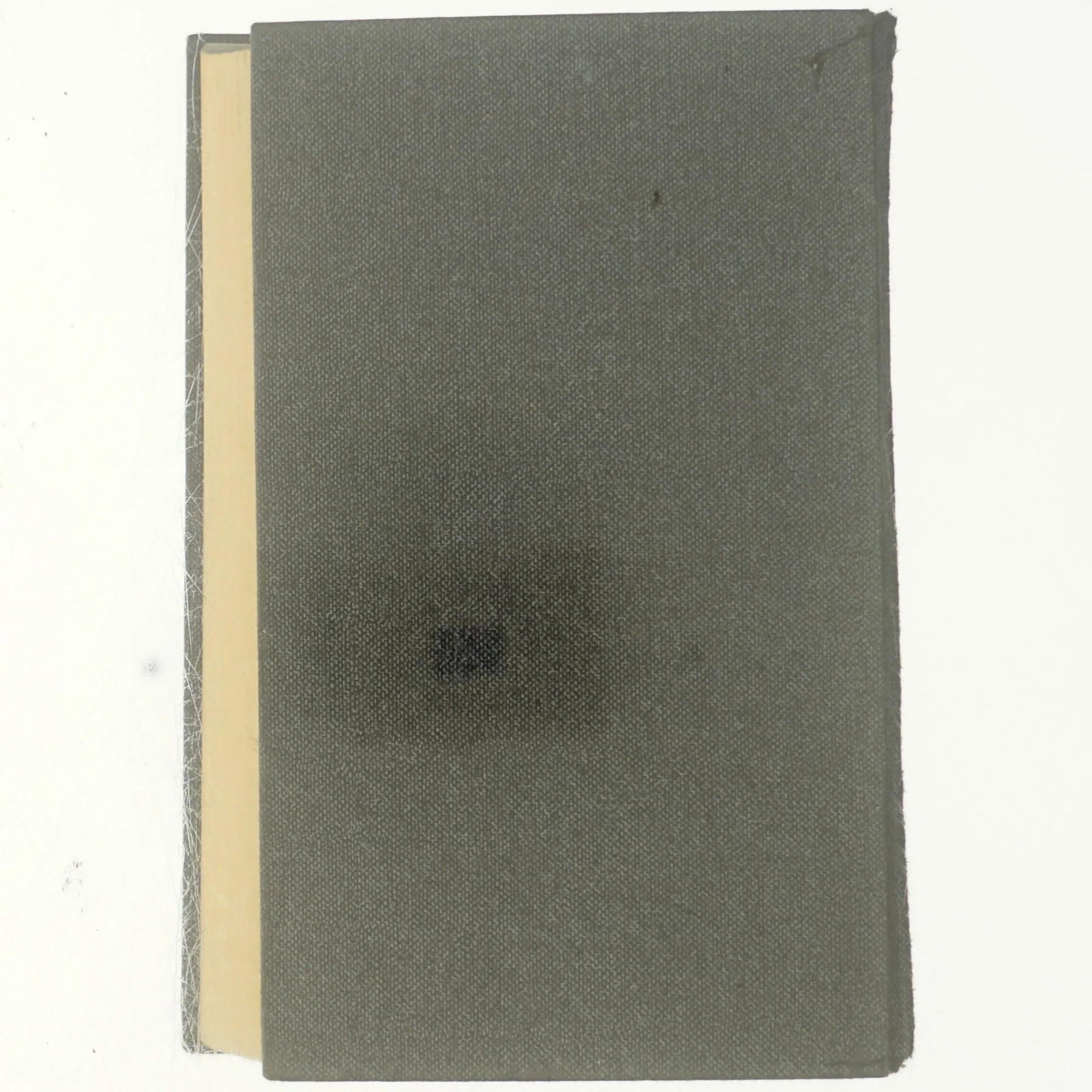 Roman om en frobrydelse