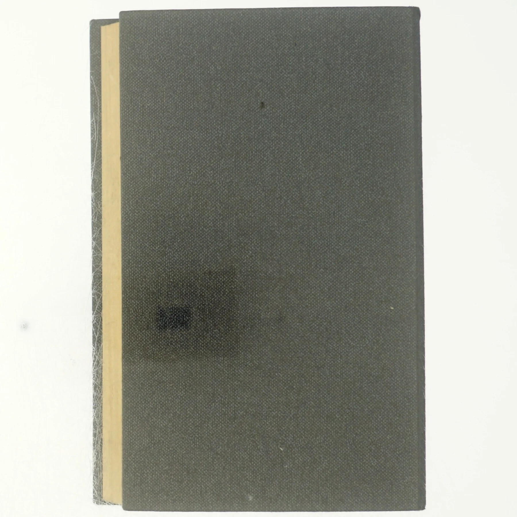 Roman om en forbrydelse, 6.bind, strisser, strisser