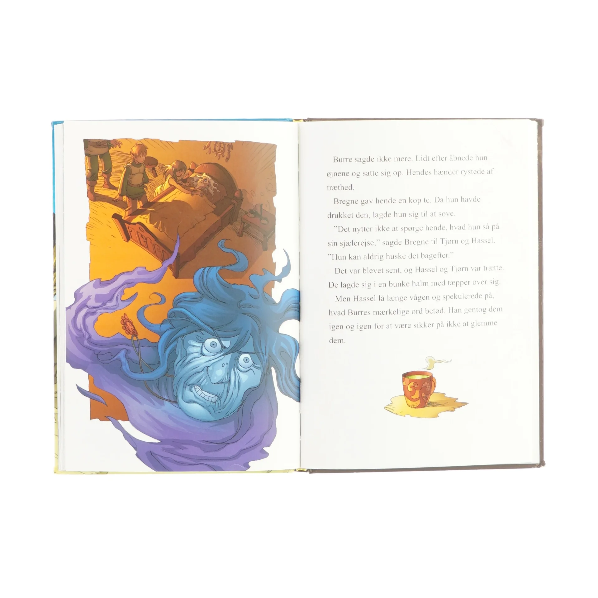 Den forheksede ø (bog)