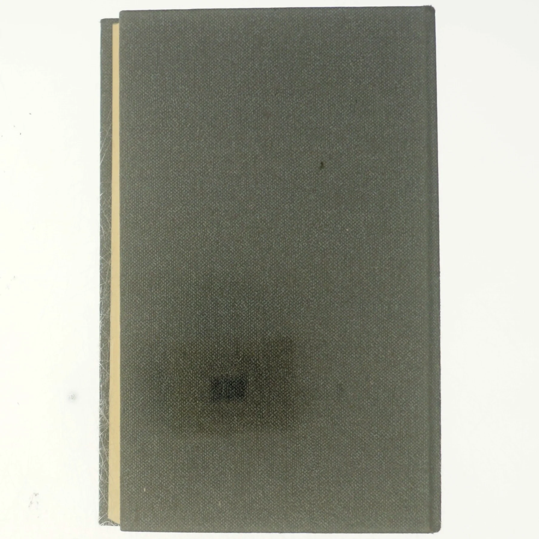 Roman om en forbrydelse, 2.bind, manden som gik op i røg