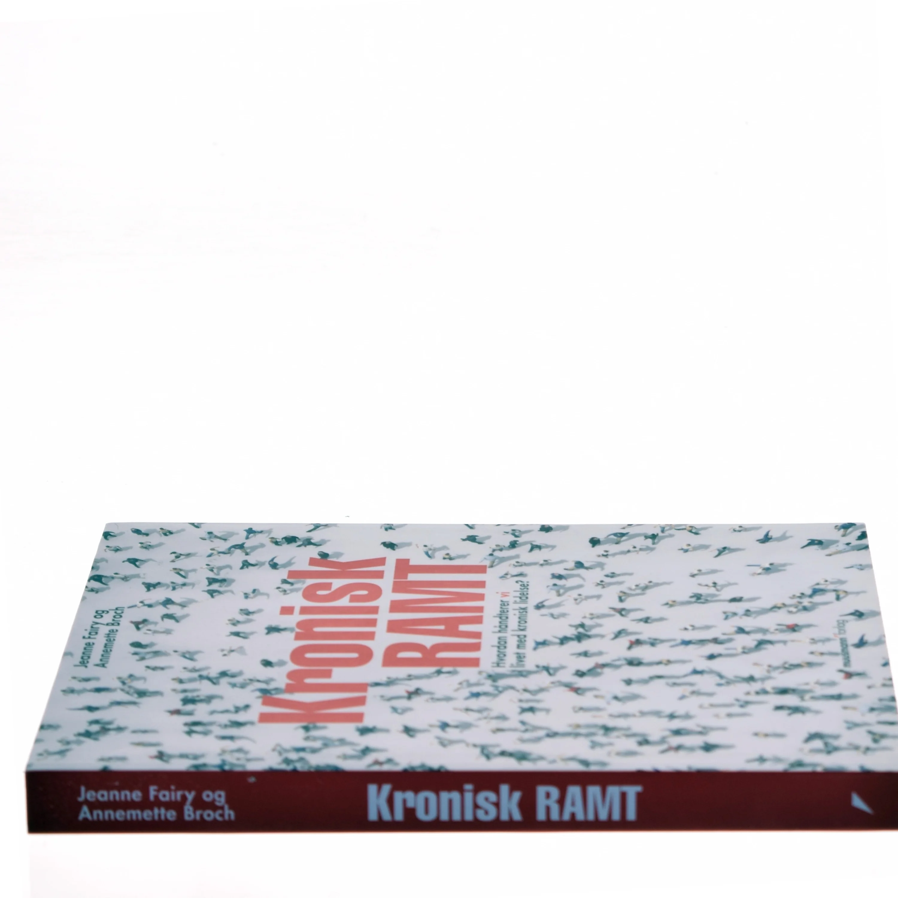 Kronisk ramt : hvordan håndterer vi livet med kronisk lidelse? af Jeanne Fairy (Bog)