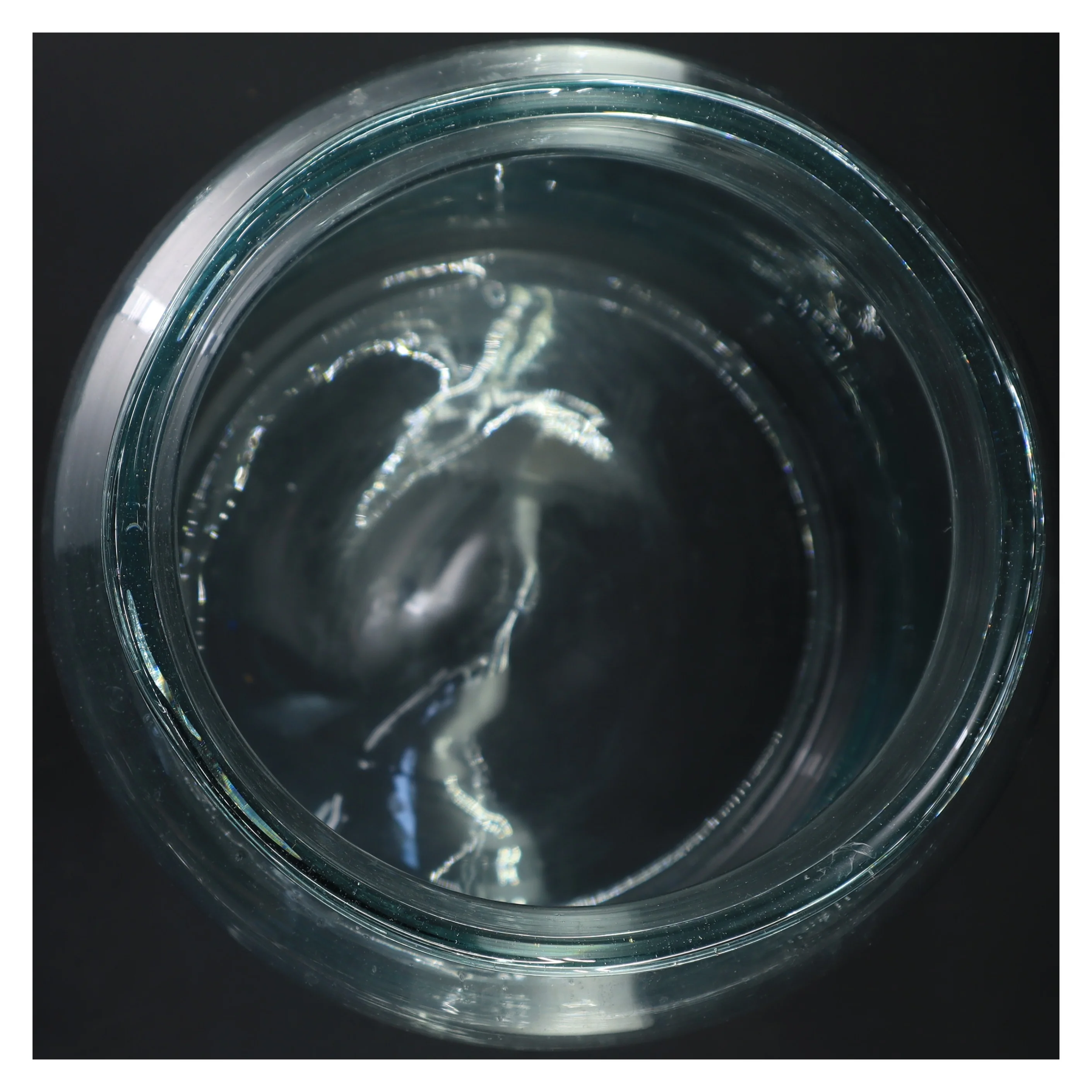 Stor vase fra Blooming flowers 