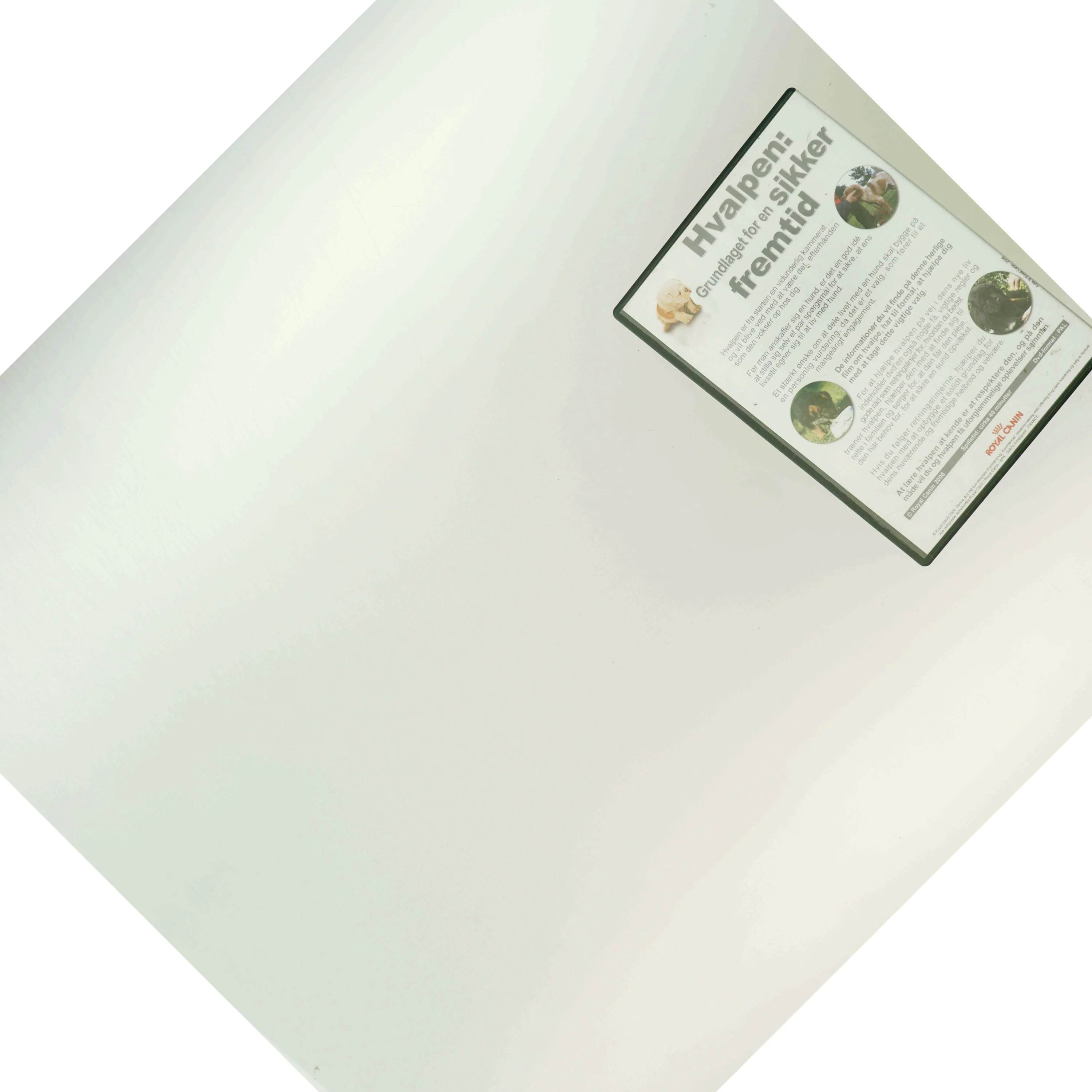 Hvalpen: grundlaget for en sikker fremtid