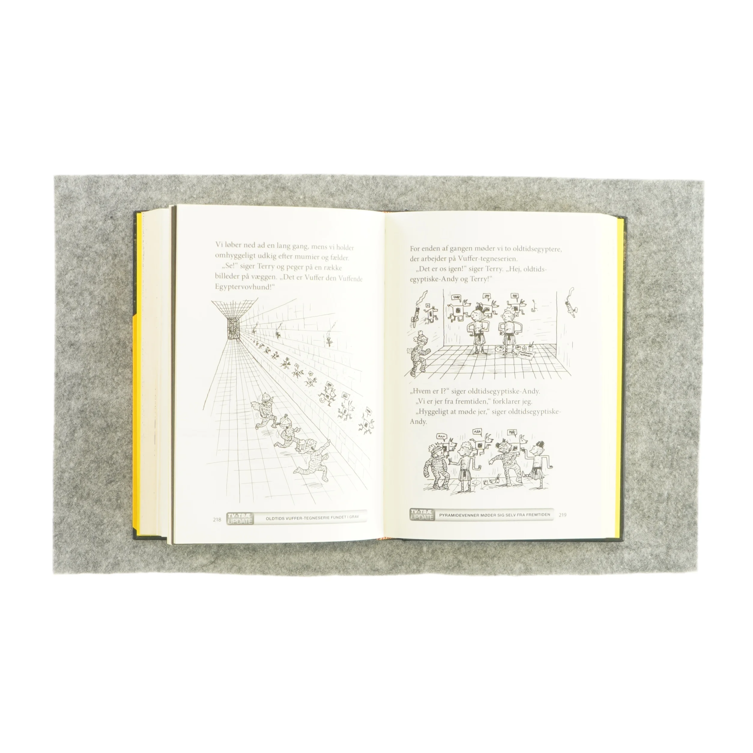 Træhule på 65 etager af Andy Griffen og Terry Denton (Bog)