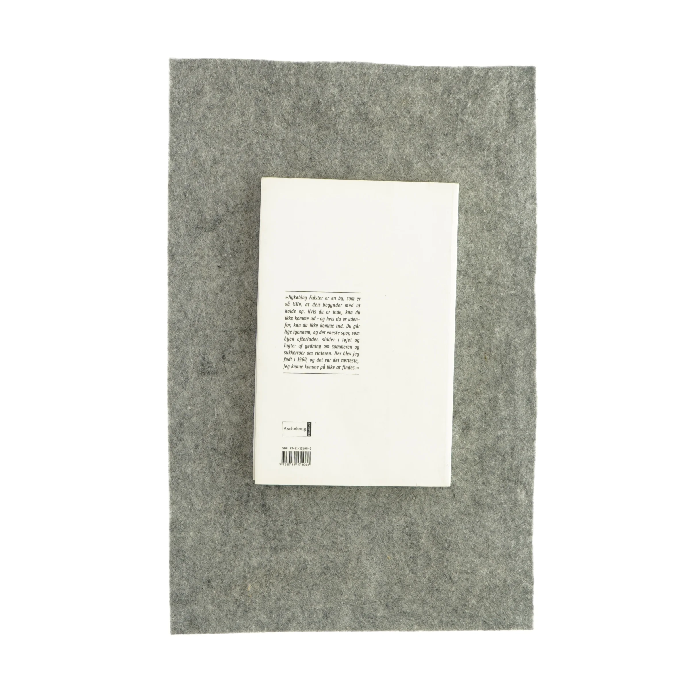 Den som blinker er bange for døden af Knud Romer (bog)