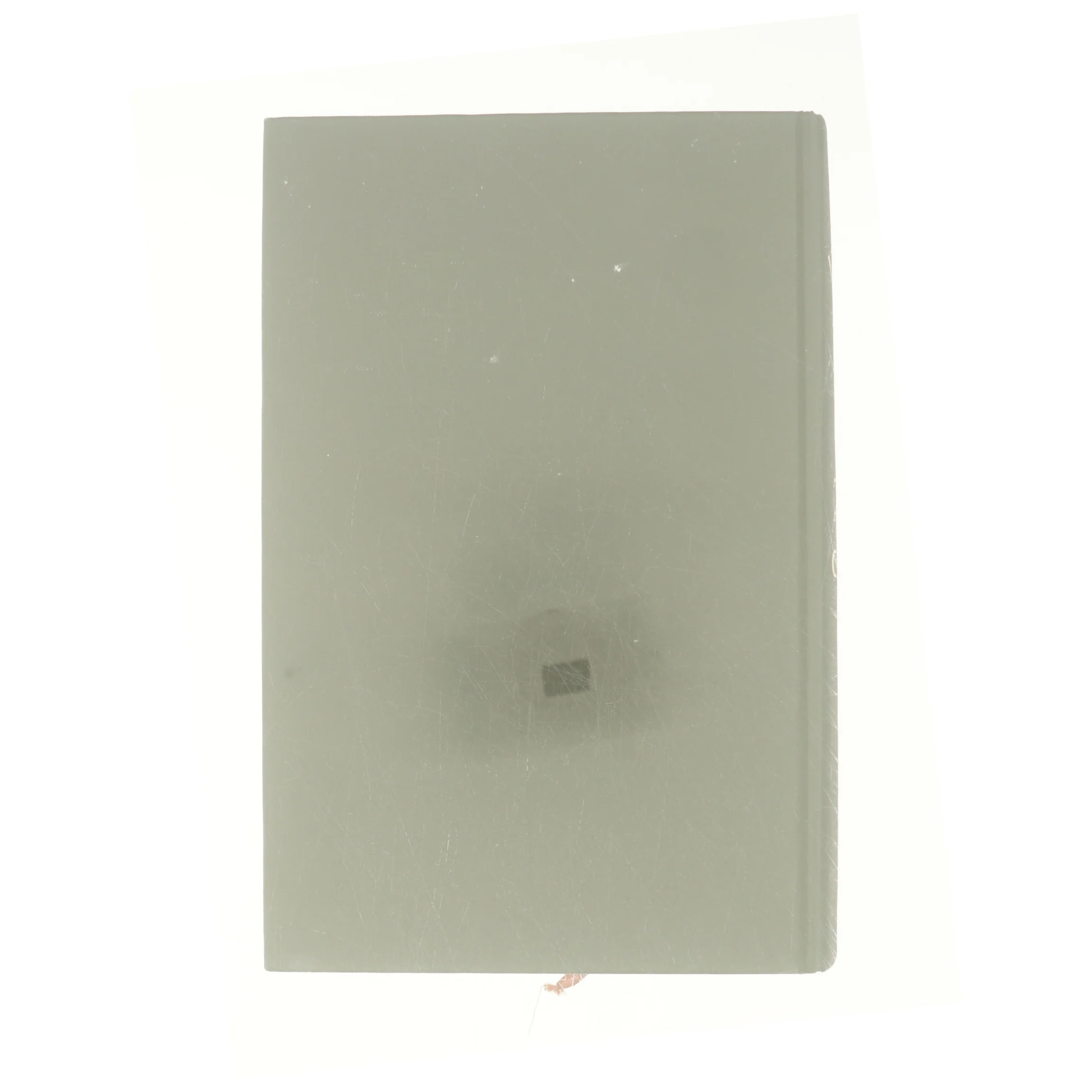 A son of a circus af John Irving