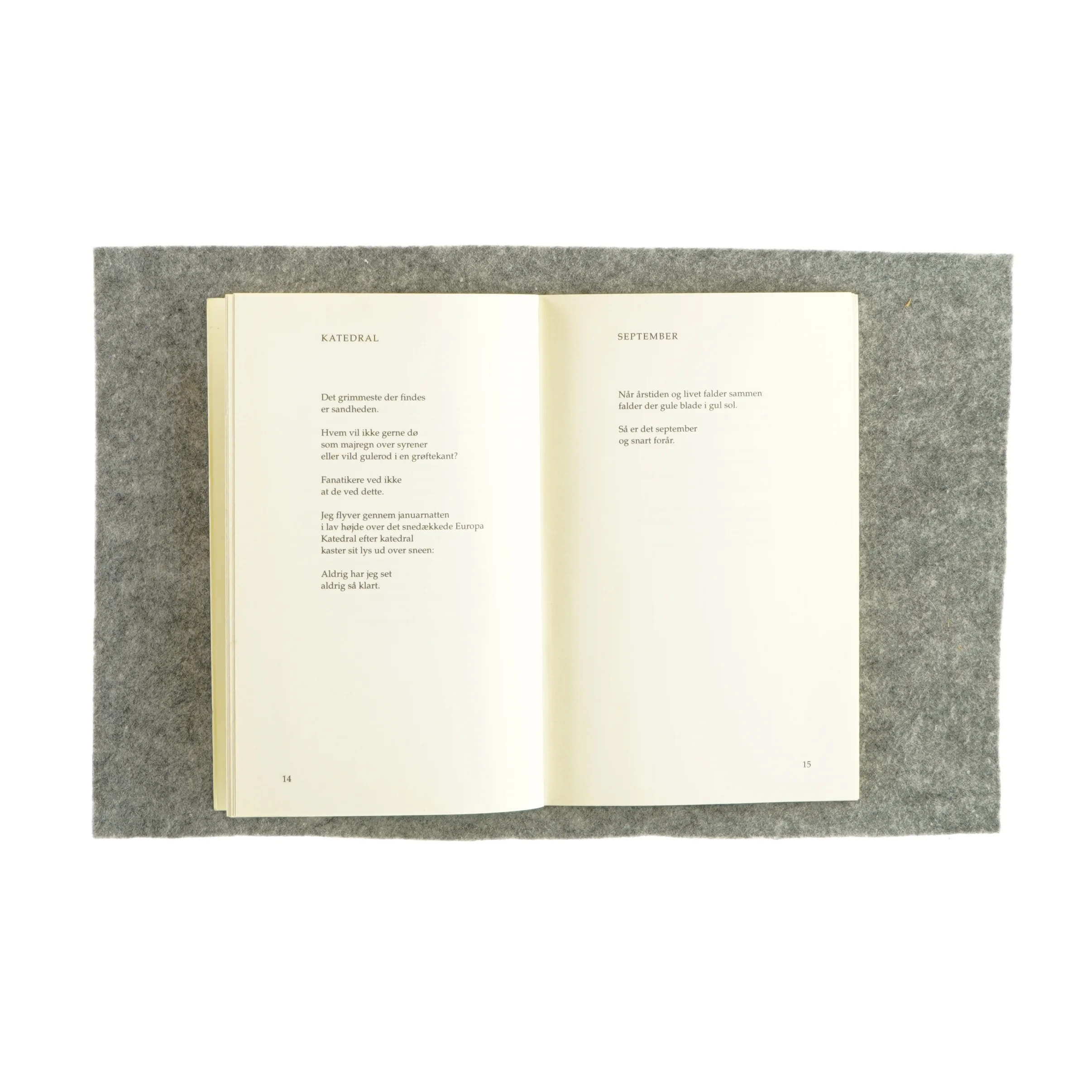 Fralandsvind af Henrik Nordbrandt (bog)