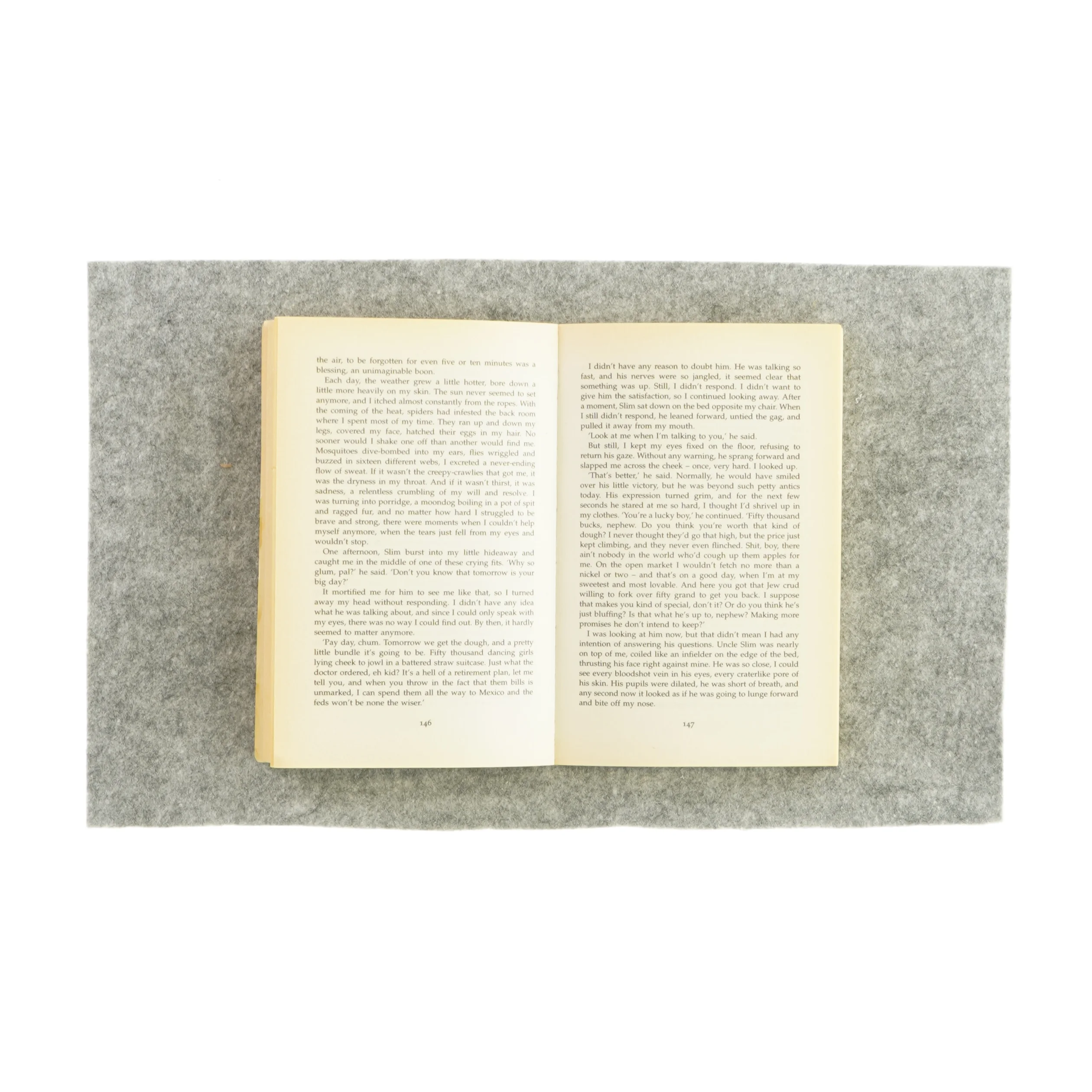 Mr. Vertigo af Paul Auster (Bog) 