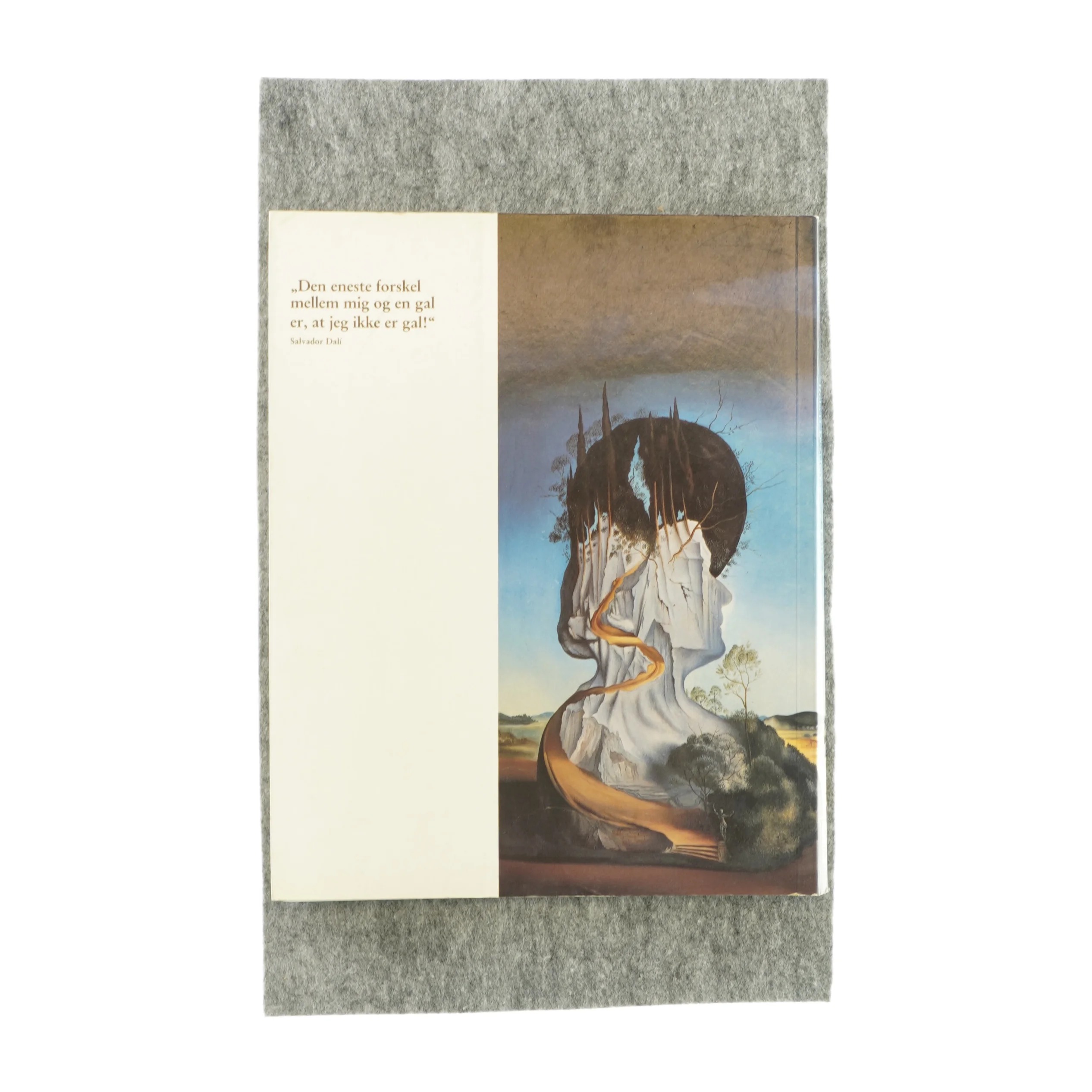 Salvador dali af Robert Descharnes (bog)