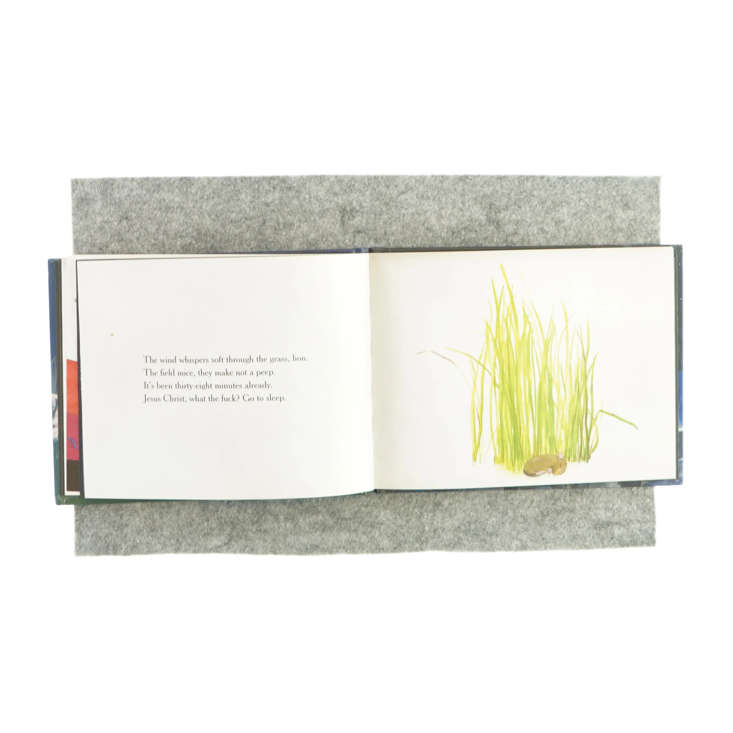 Go the f**k to sleep af Adam Mansbach (bog)