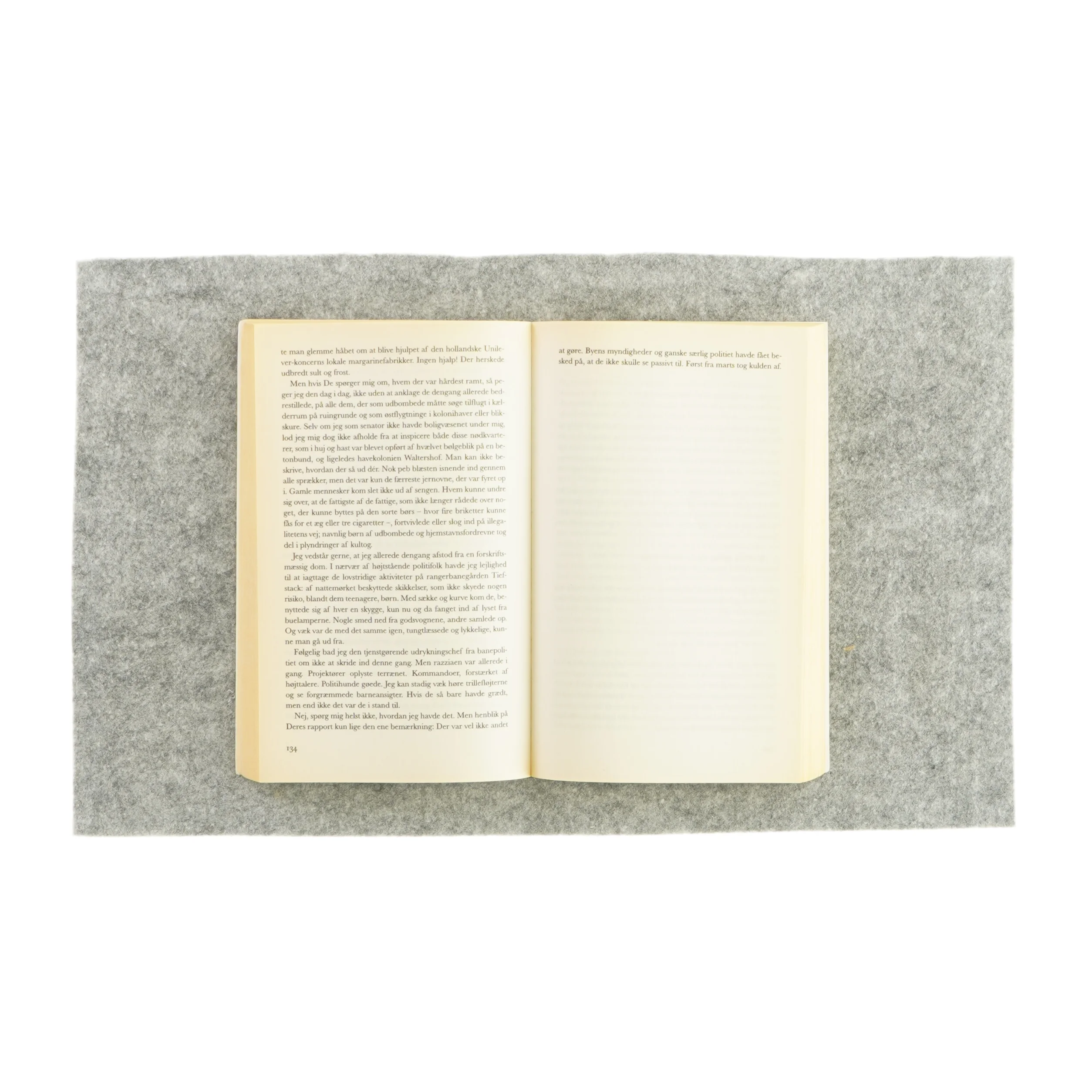 Mit århundrede af Günter Grass (bog) 