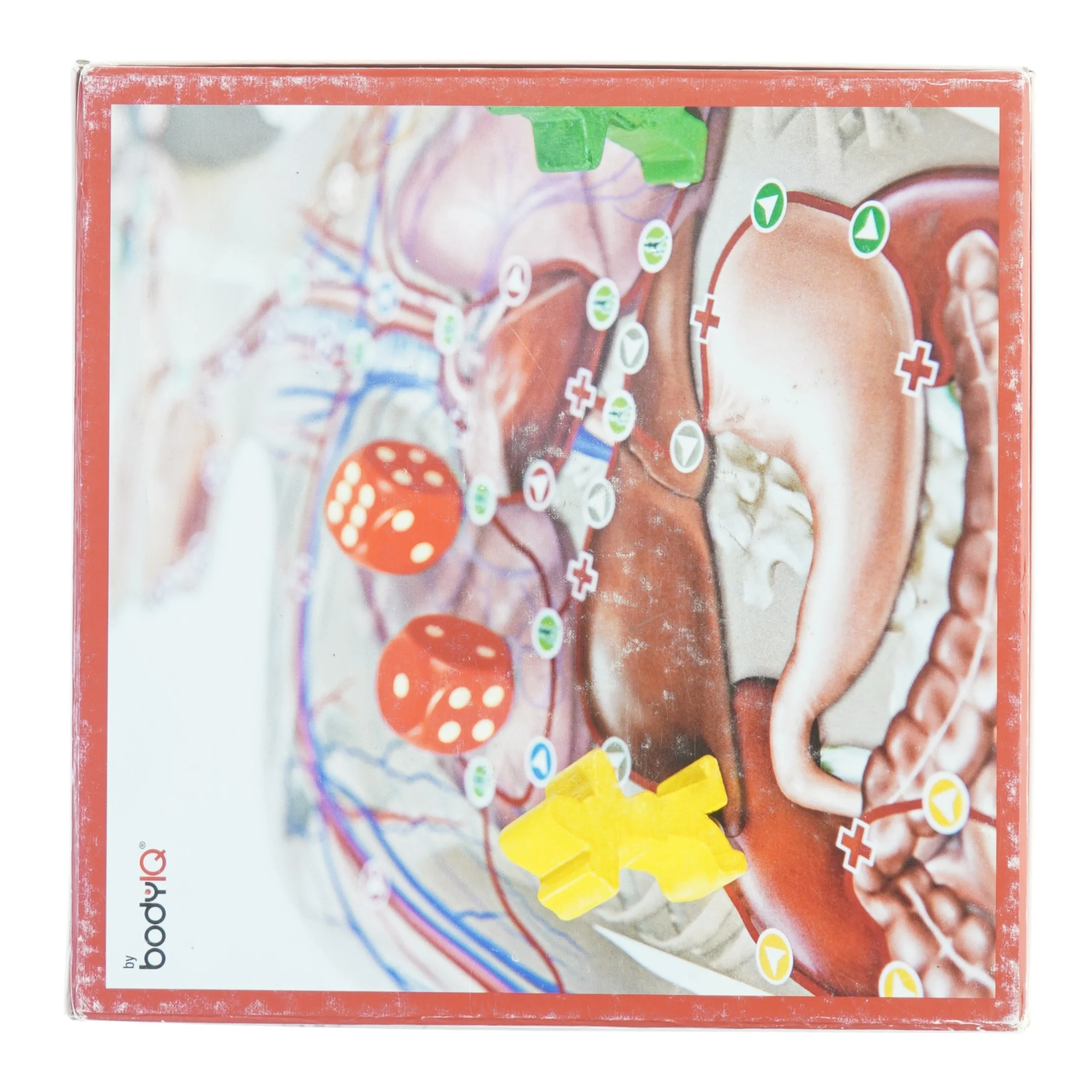 Brætspil 'BODY junior' (str. 26 x, 26 x 11 cm)