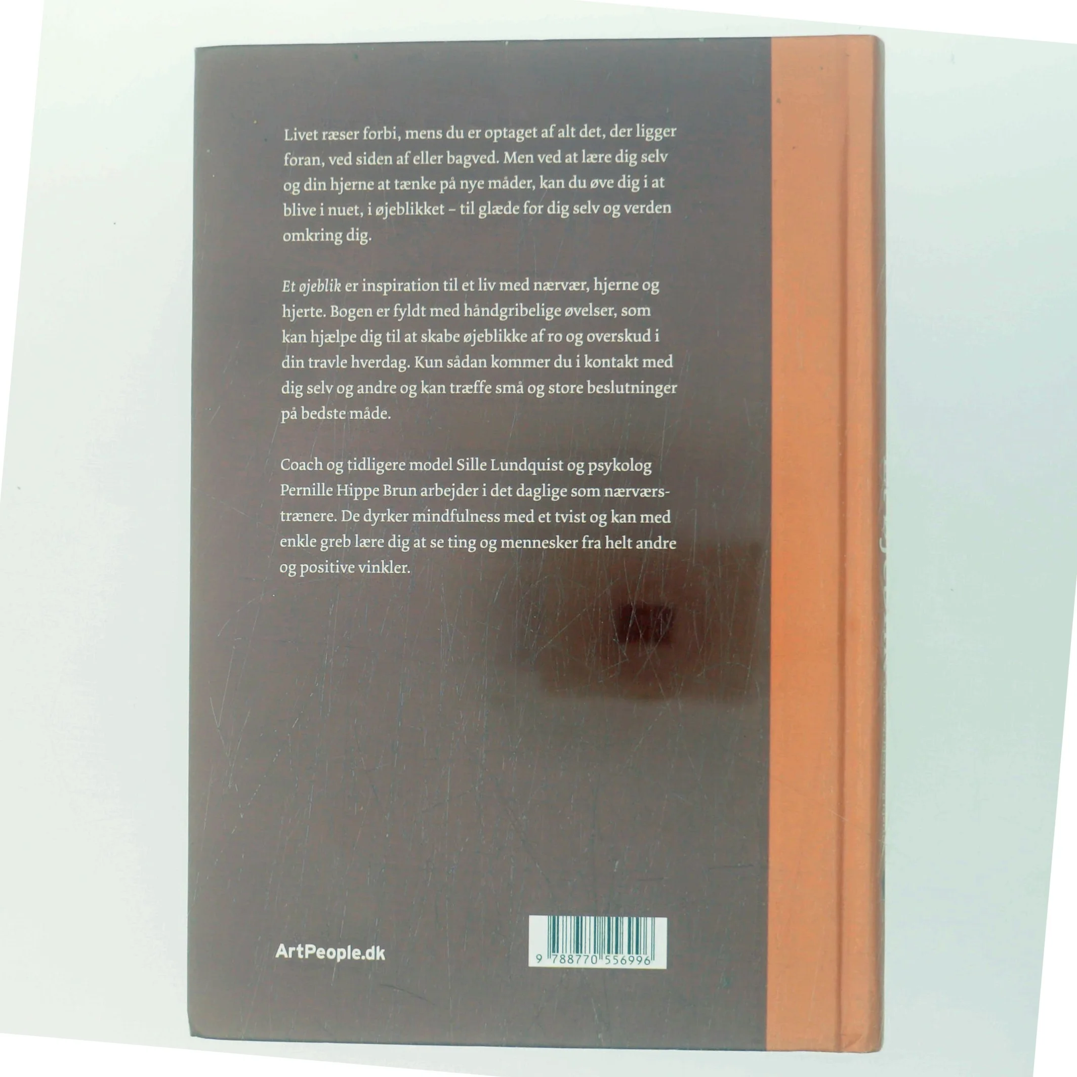 Et øjeblik : styrk livet med nærvær, hjerne og hjerte af Sille Lundquist (Bog)