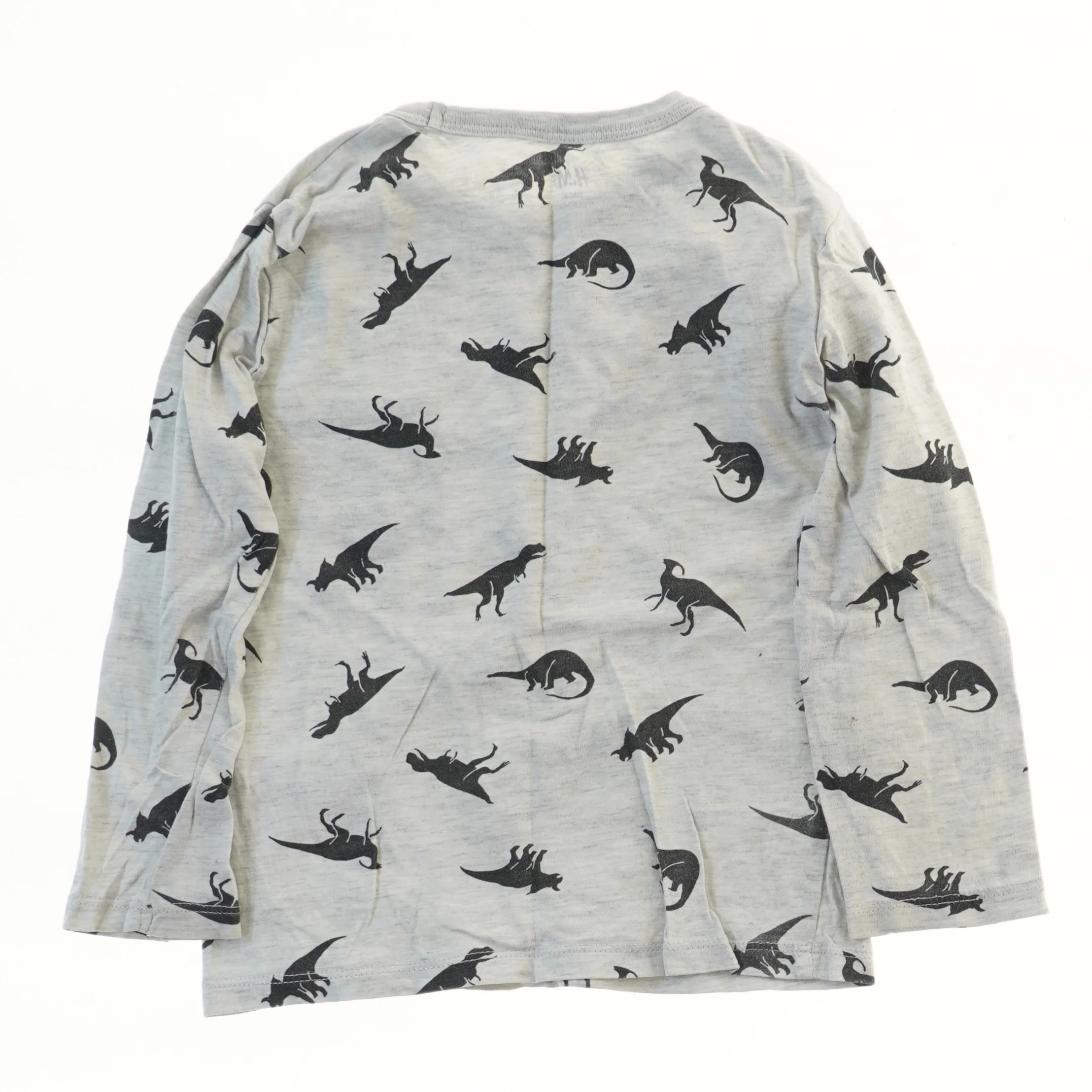 Langærmet bluse med dinosaurprint fra H&M (str. 98)