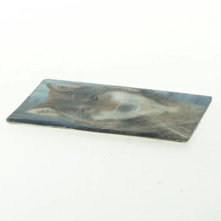 Køleskabsmagnet med ulv fra Wild Republic (str. 9x6 cm)