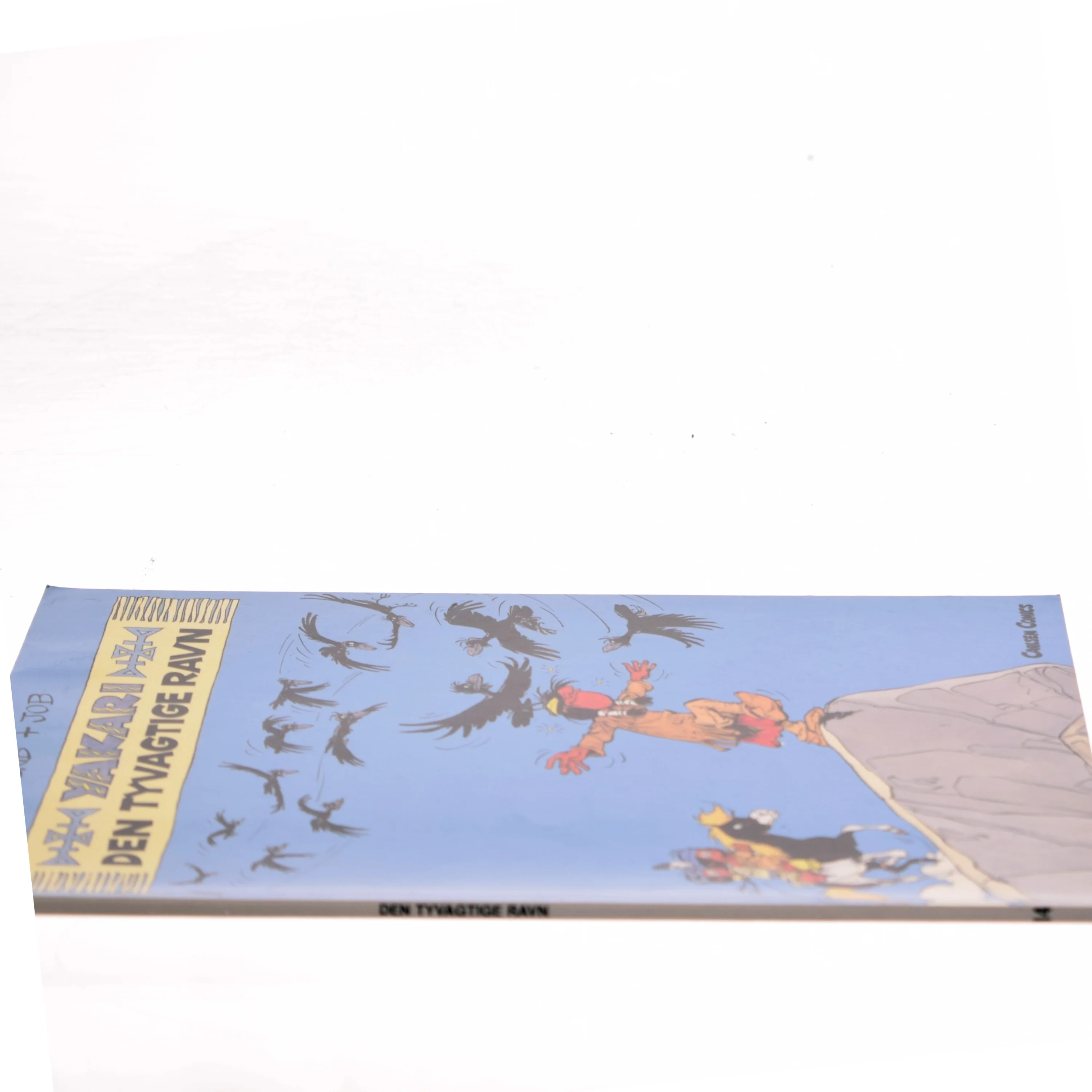 Den tyvagtige ravn (Bog)