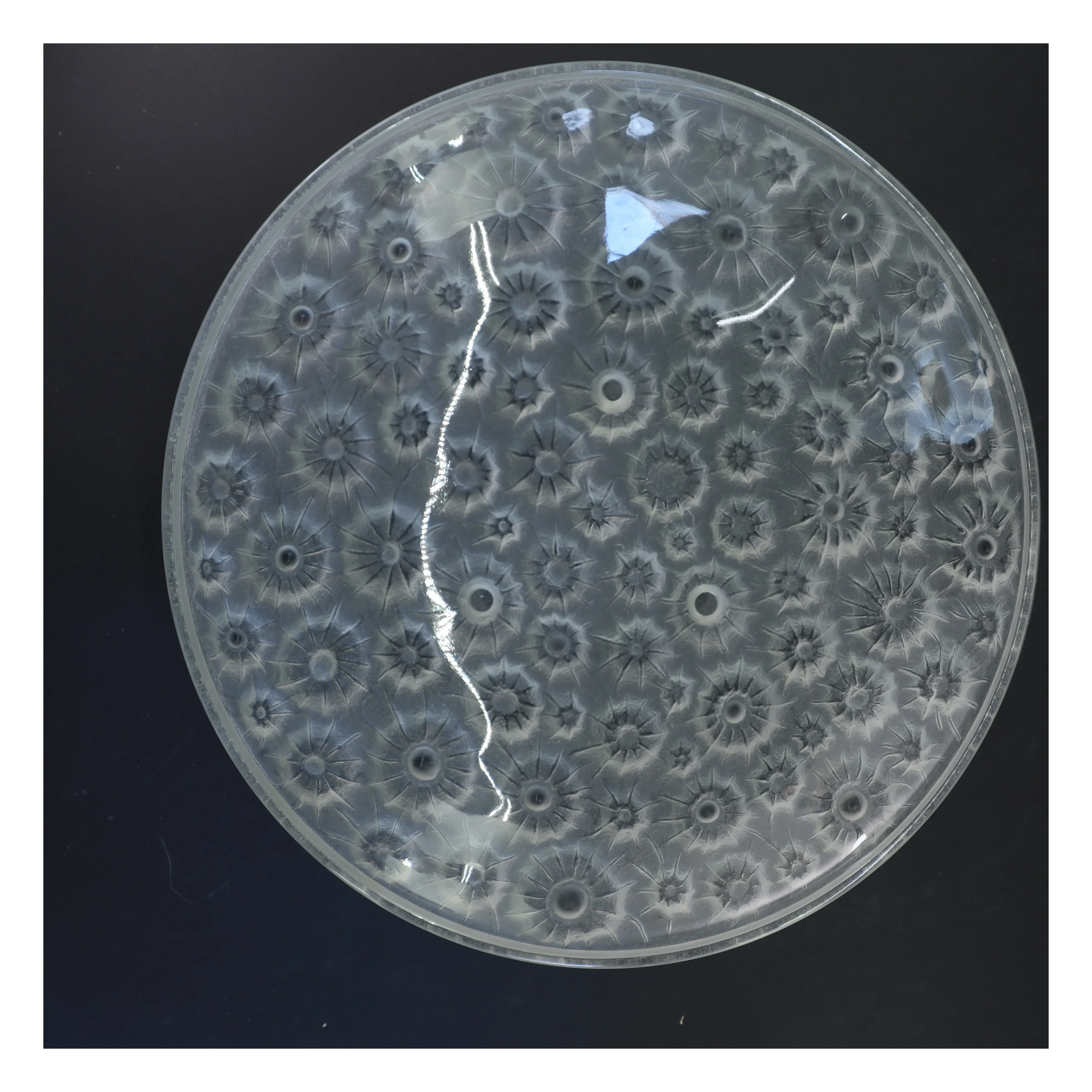 Stor glasfad med blomstermønster (str. Ø 35 cm)