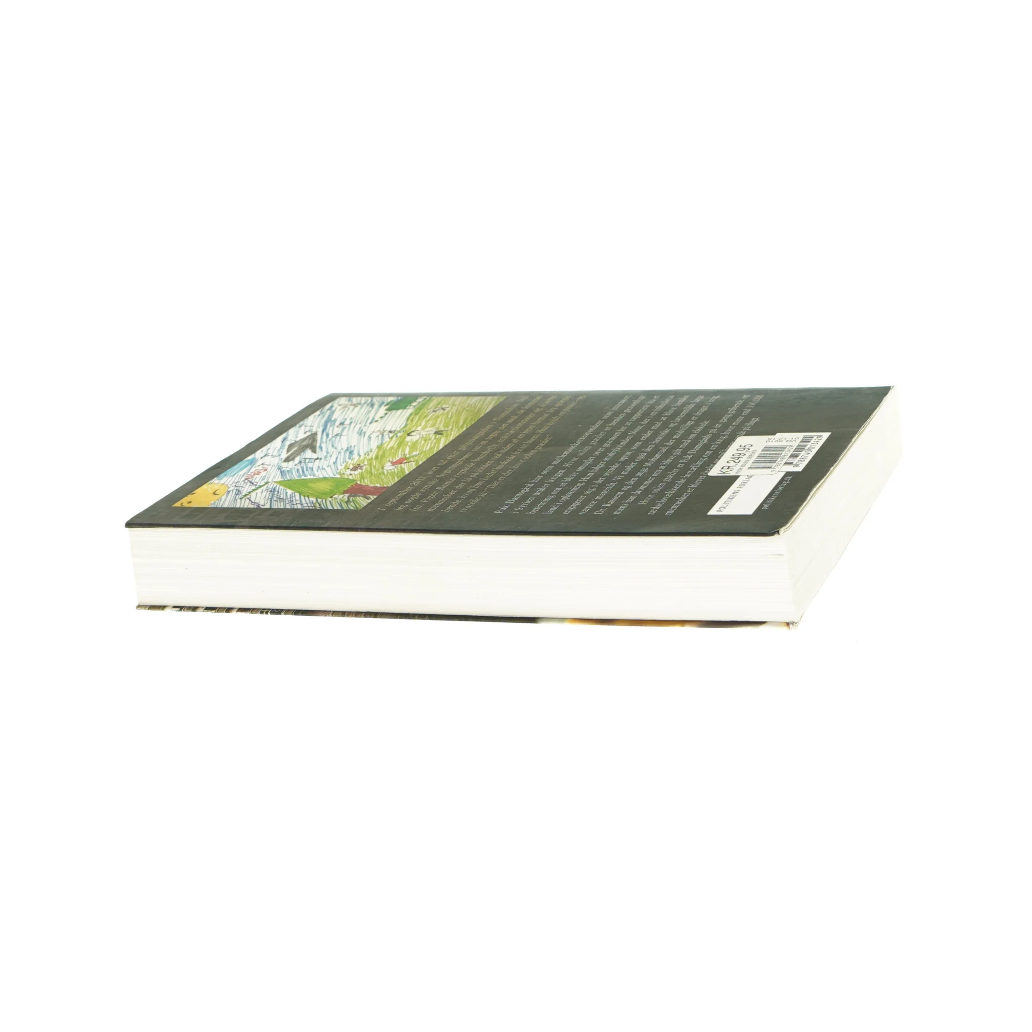 Hvor solen græder af Puk Damsgård fra Bog