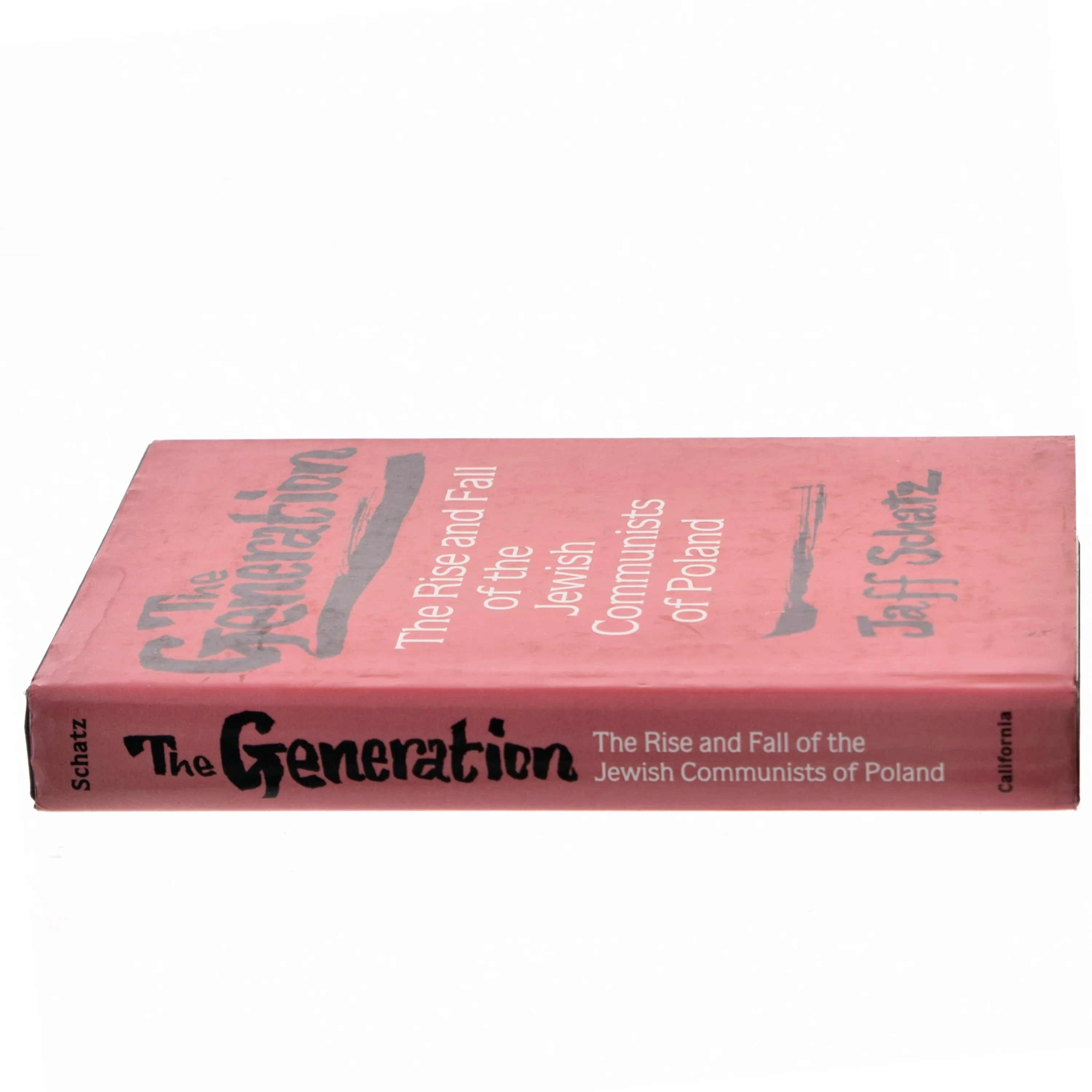 The Generation af Jaff Schatz (Bog)