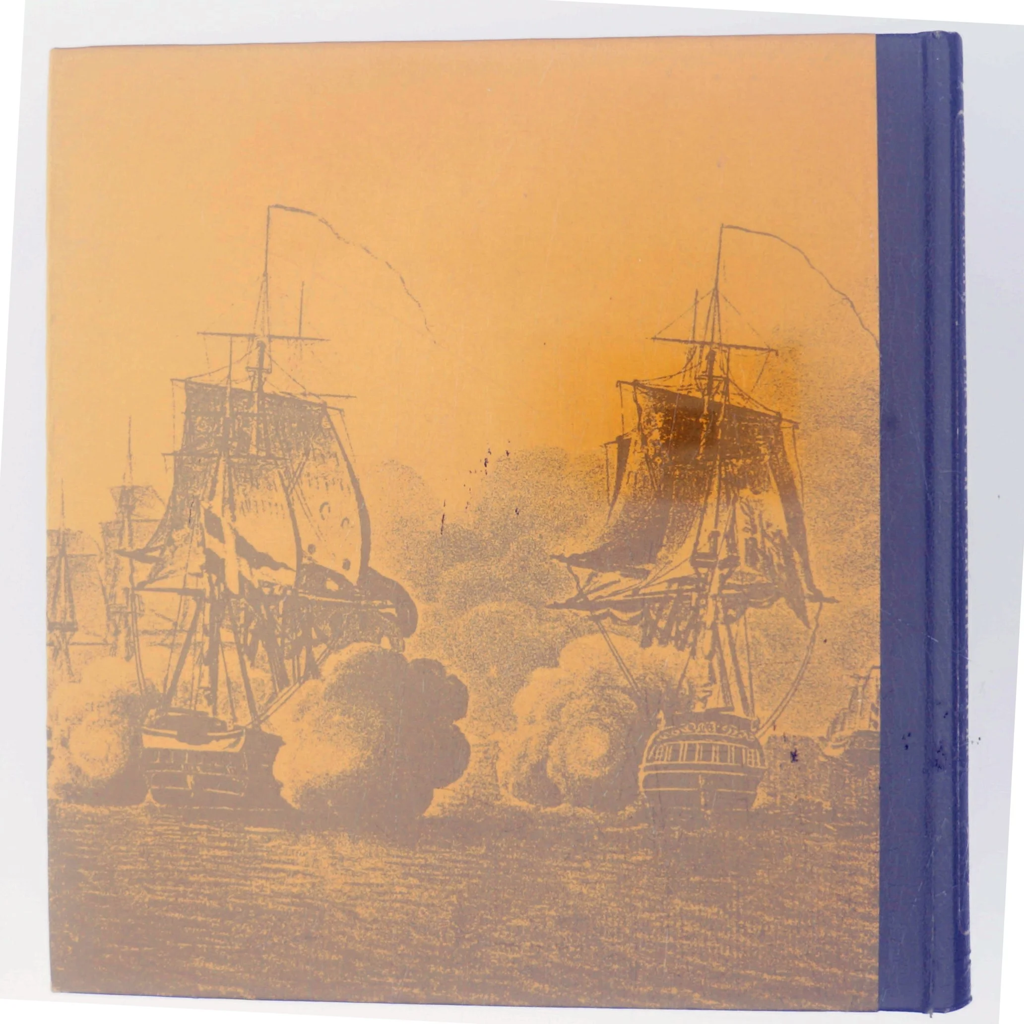 Billeder af Danmarks historie af Palle Lauring (Bog)