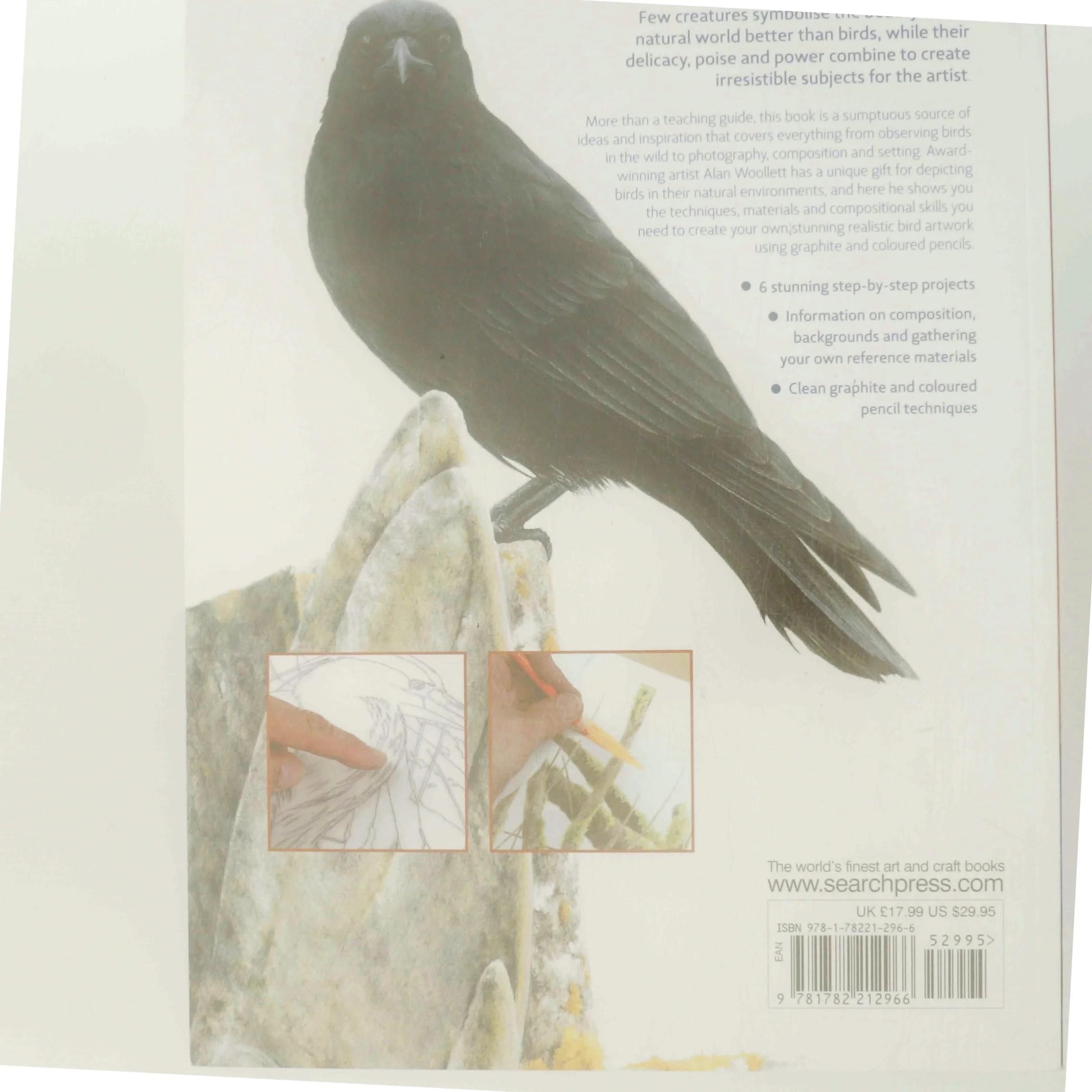 Bird Art af Alan Woollett (Bog)