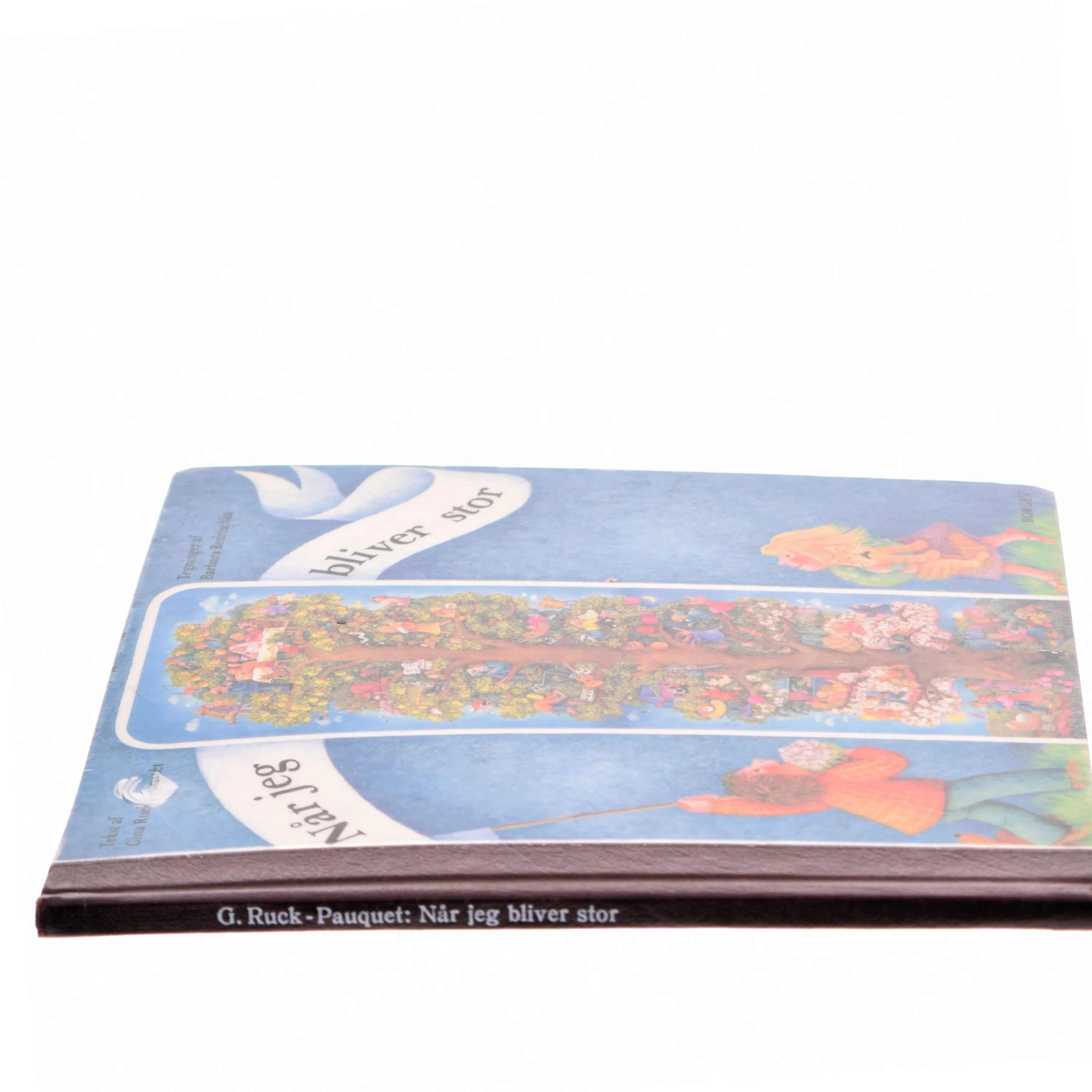 Når jeg bliver stor af Gina Ruck-Pauquèt (Bog)