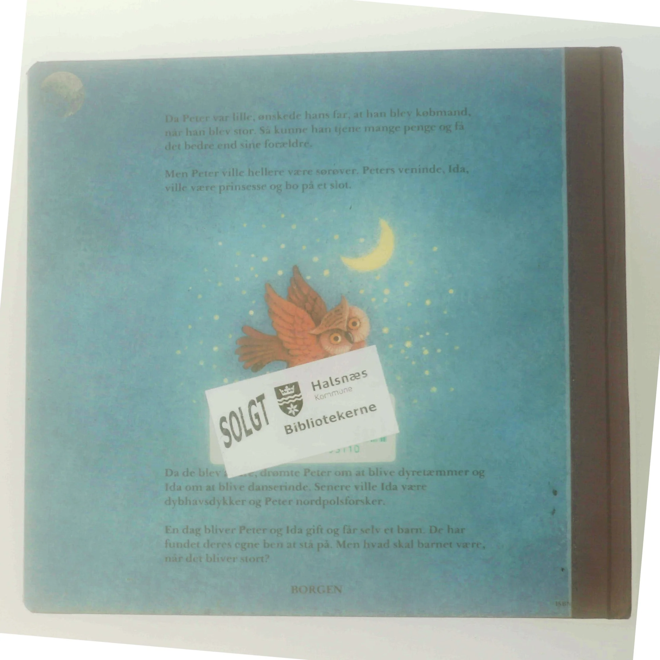 Når jeg bliver stor af Gina Ruck-Pauquèt (Bog)