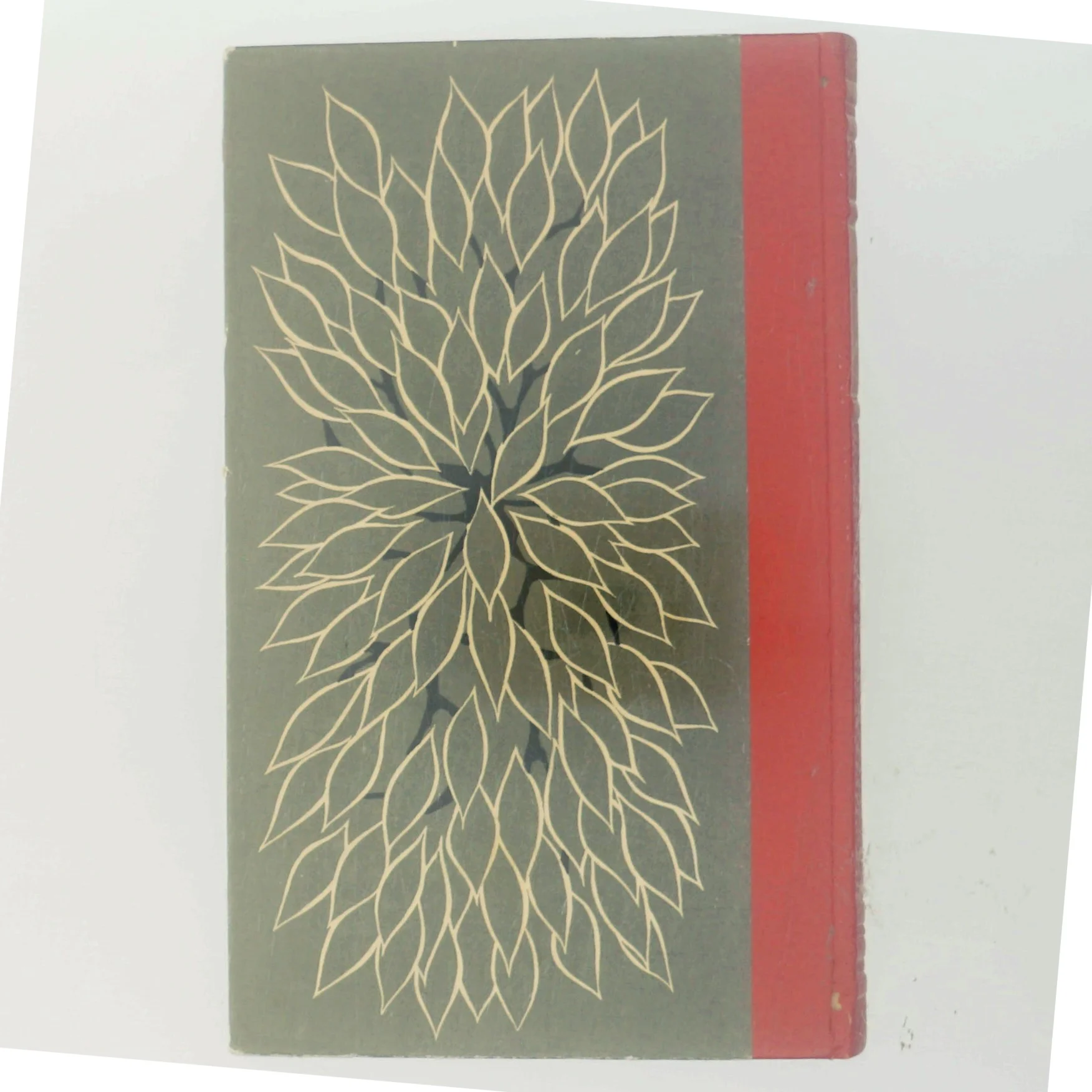 Kong Løg af Jørgen Jensen (Bog)