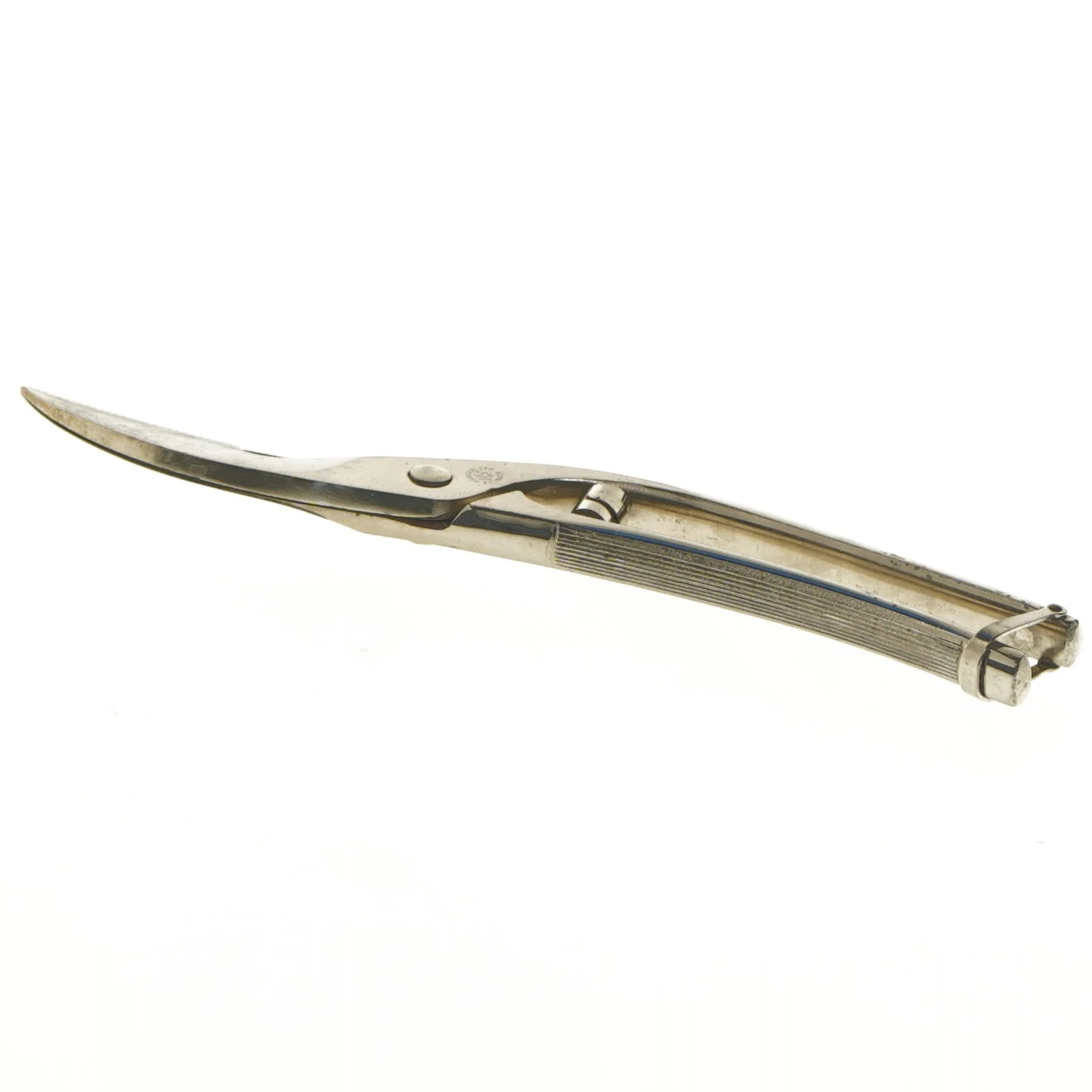 Fjerkræs saks i rustfrit stål (str. 24 cm)