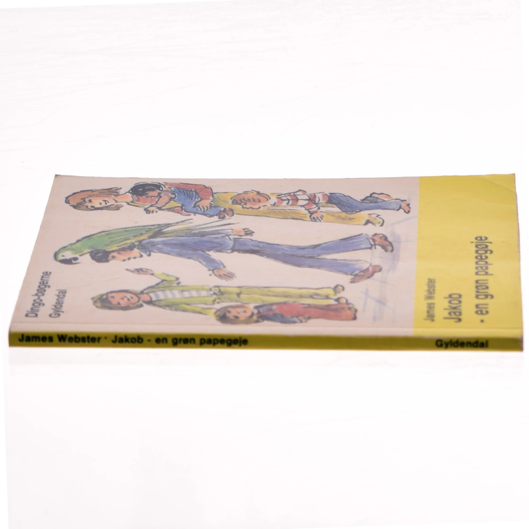 Jakob - en grøn papegøje af James Webster (Bog)